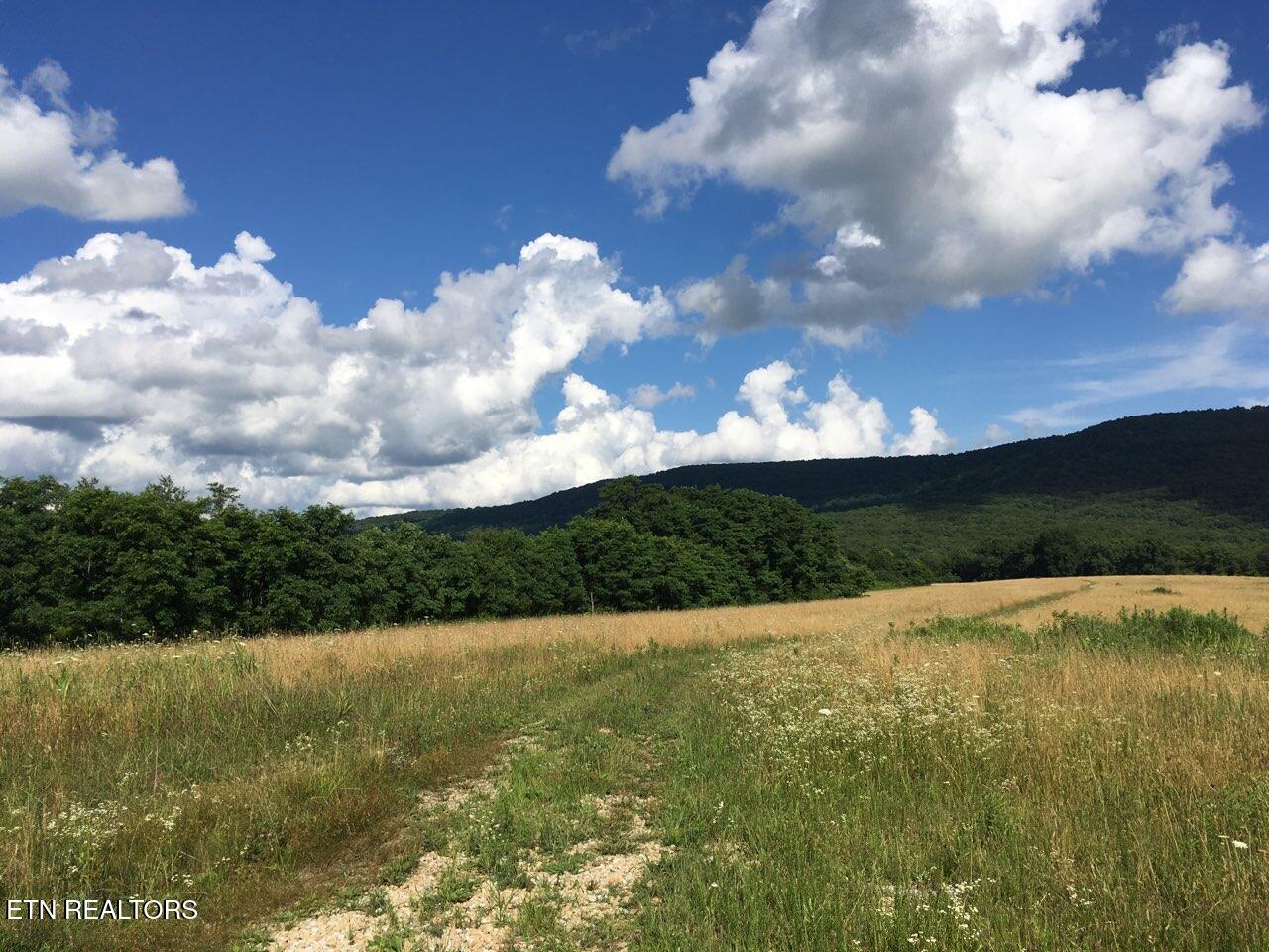 Houston Drive Crossville TN 38555