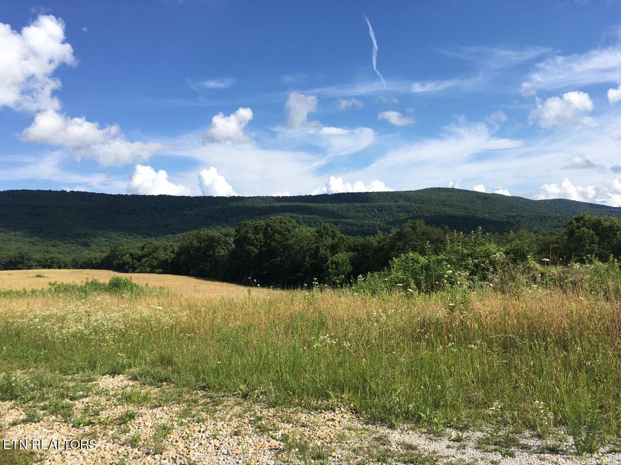 Houston Drive Crossville TN 38555