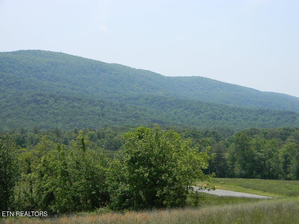 Houston Drive Crossville TN 38555