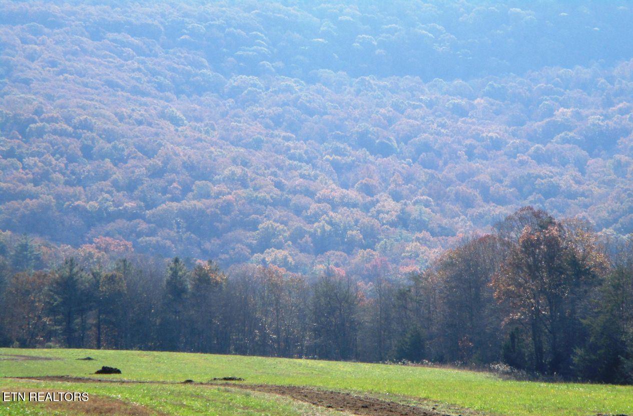 Houston Drive Crossville TN 38555