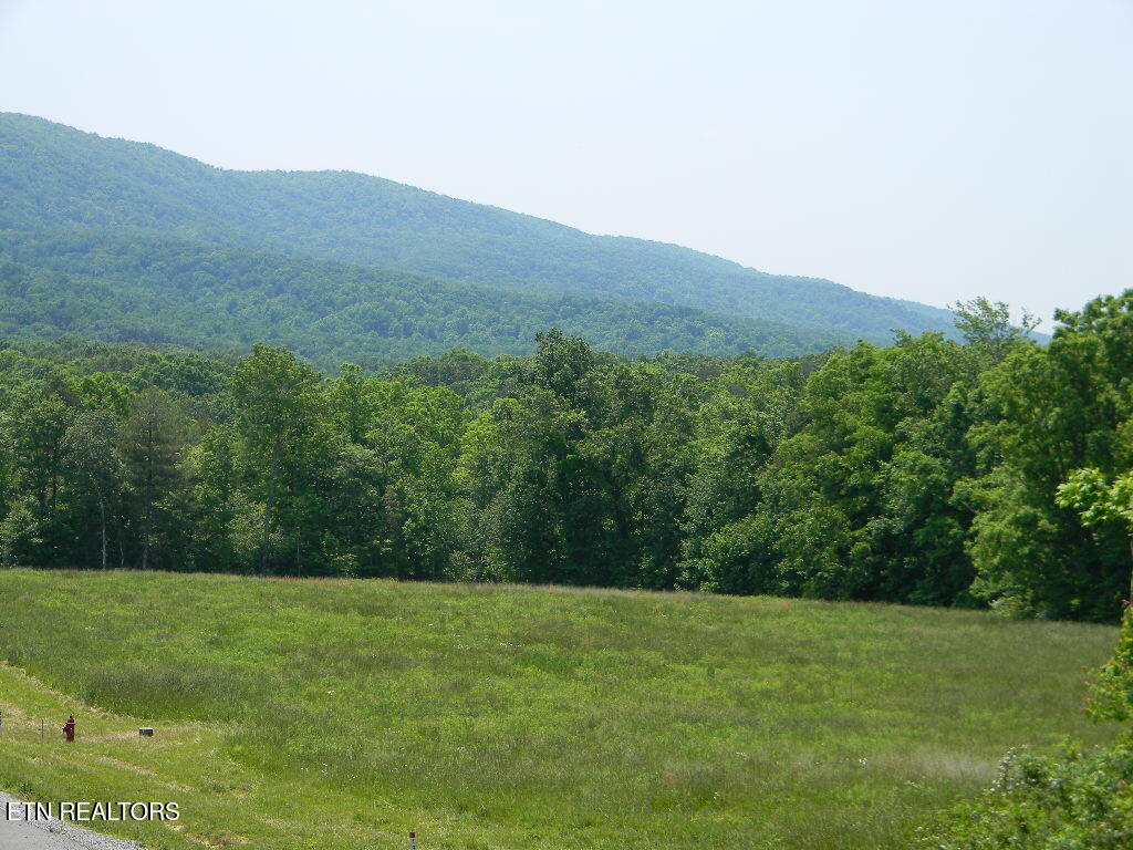 Houston Drive Crossville TN 38555