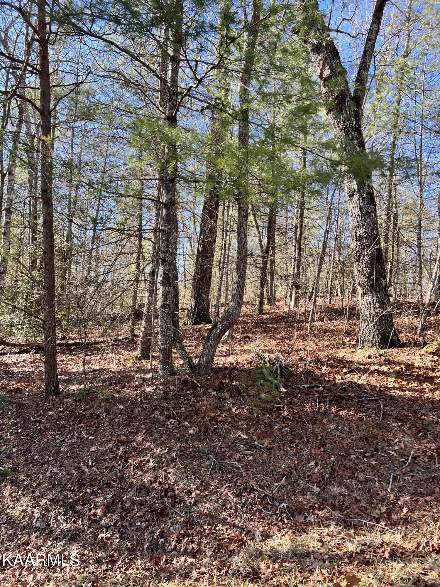 162 Natchez Circle Crossville TN 38558