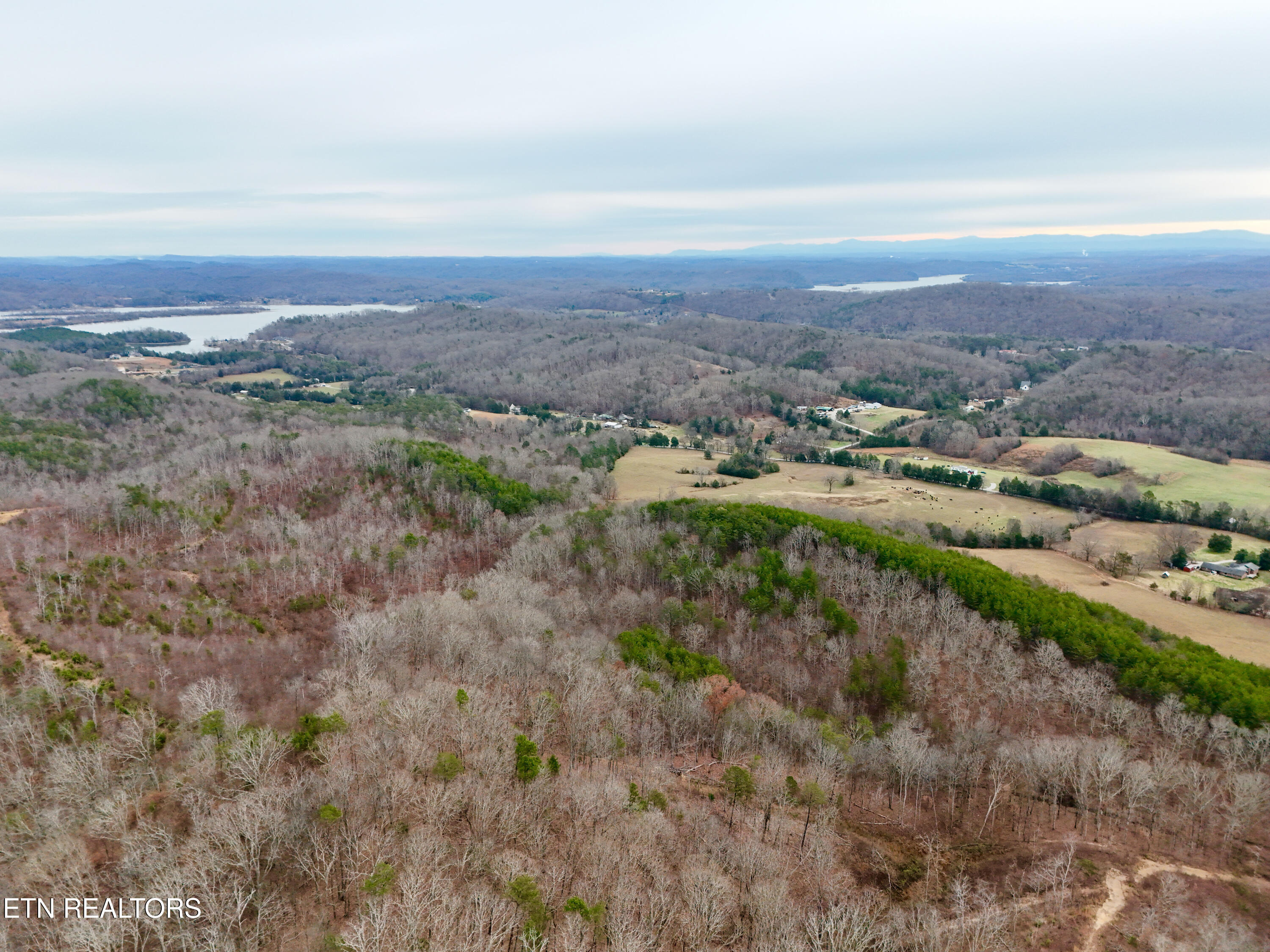 Laurel Bluff Road Kingston TN 37763