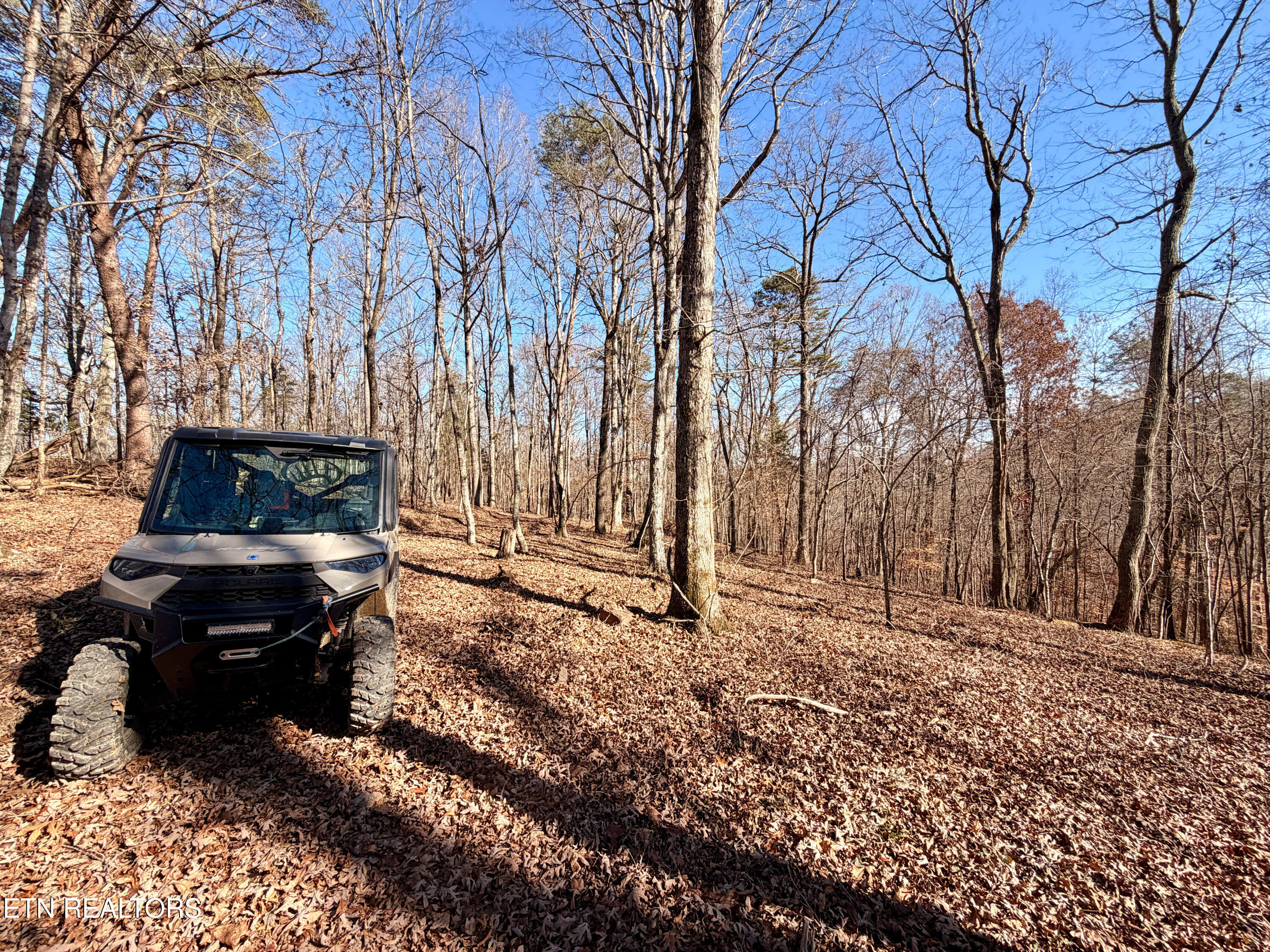 Laurel Bluff Road Kingston TN 37763