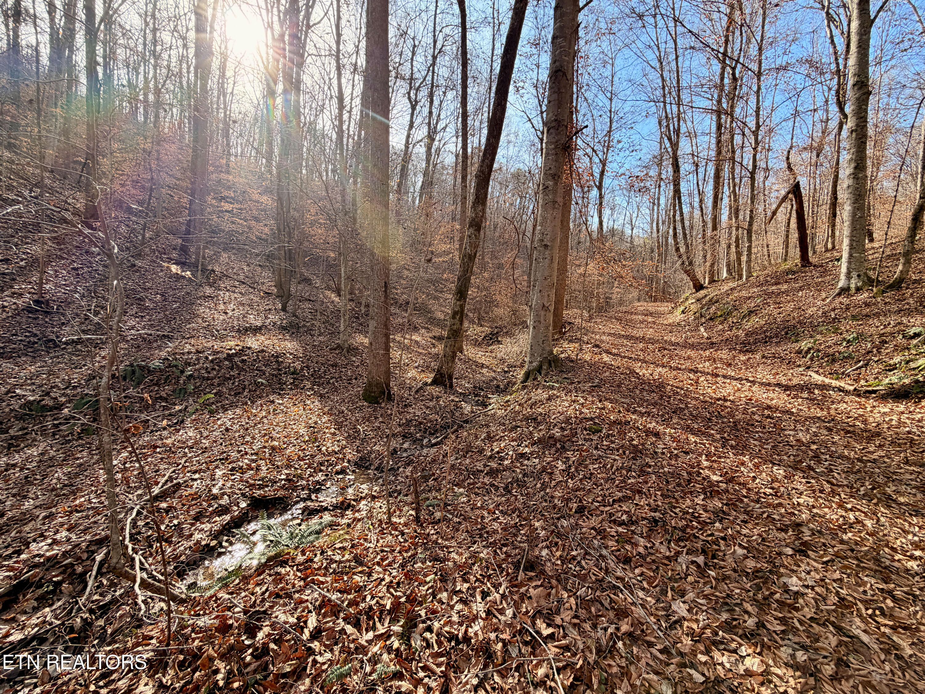 Laurel Bluff Road Kingston TN 37763