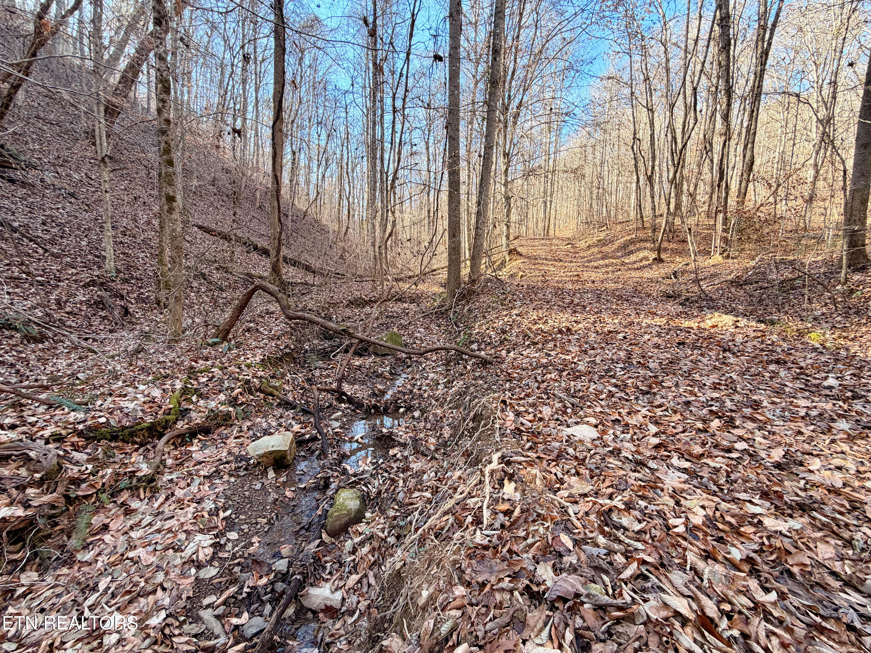 Laurel Bluff Road Kingston TN 37763