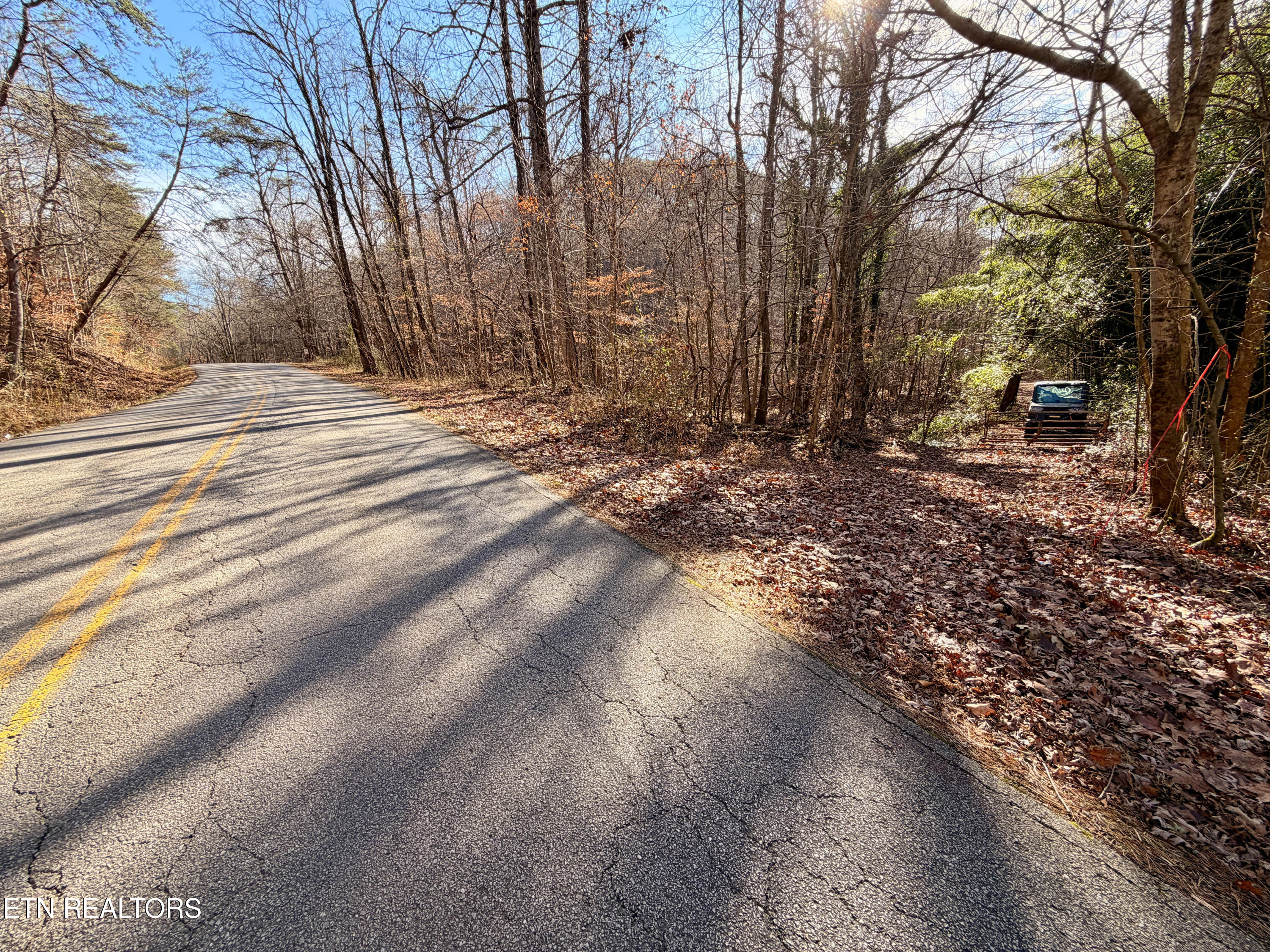 Laurel Bluff Road Kingston TN 37763