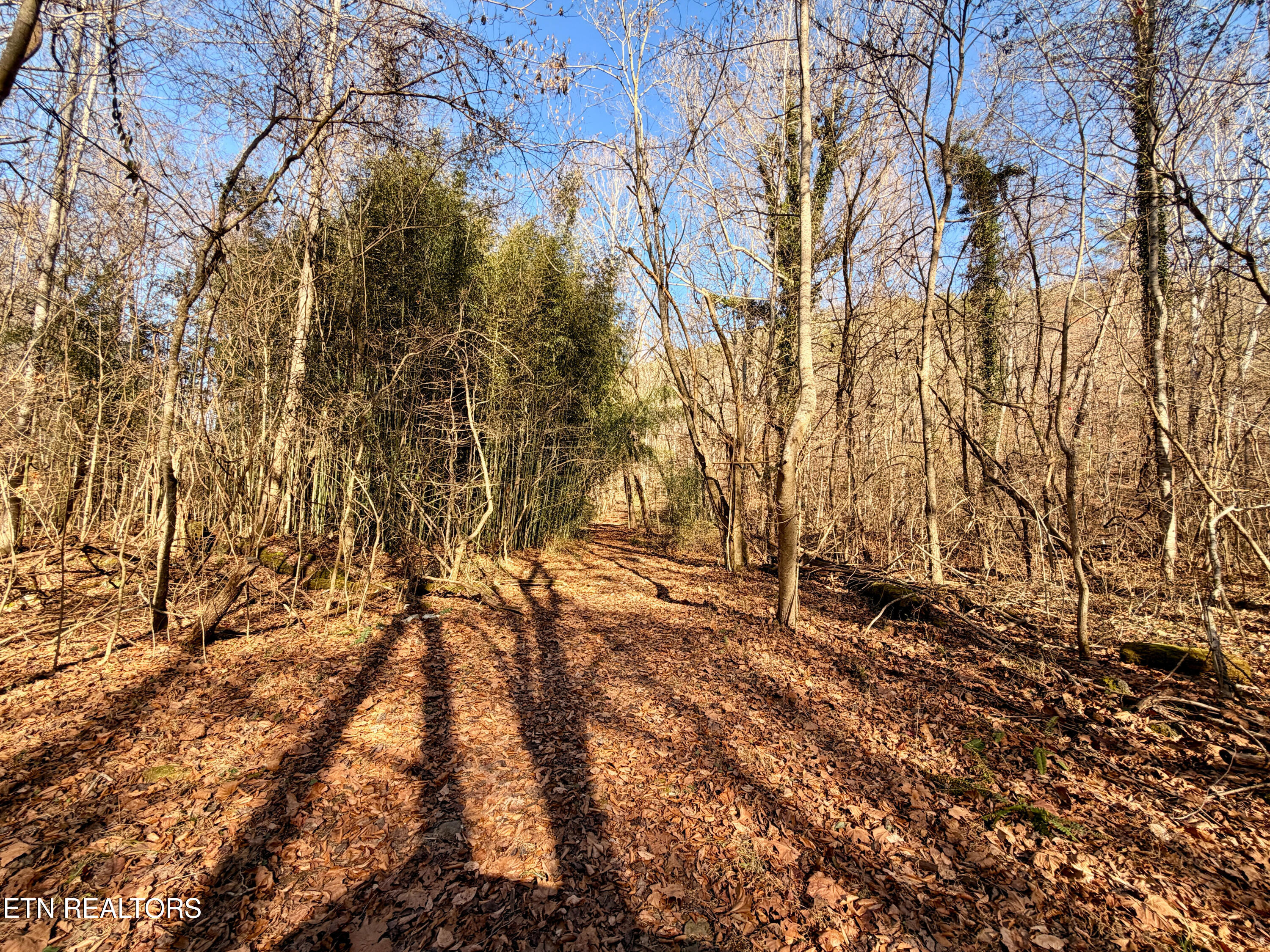 Laurel Bluff Road Kingston TN 37763