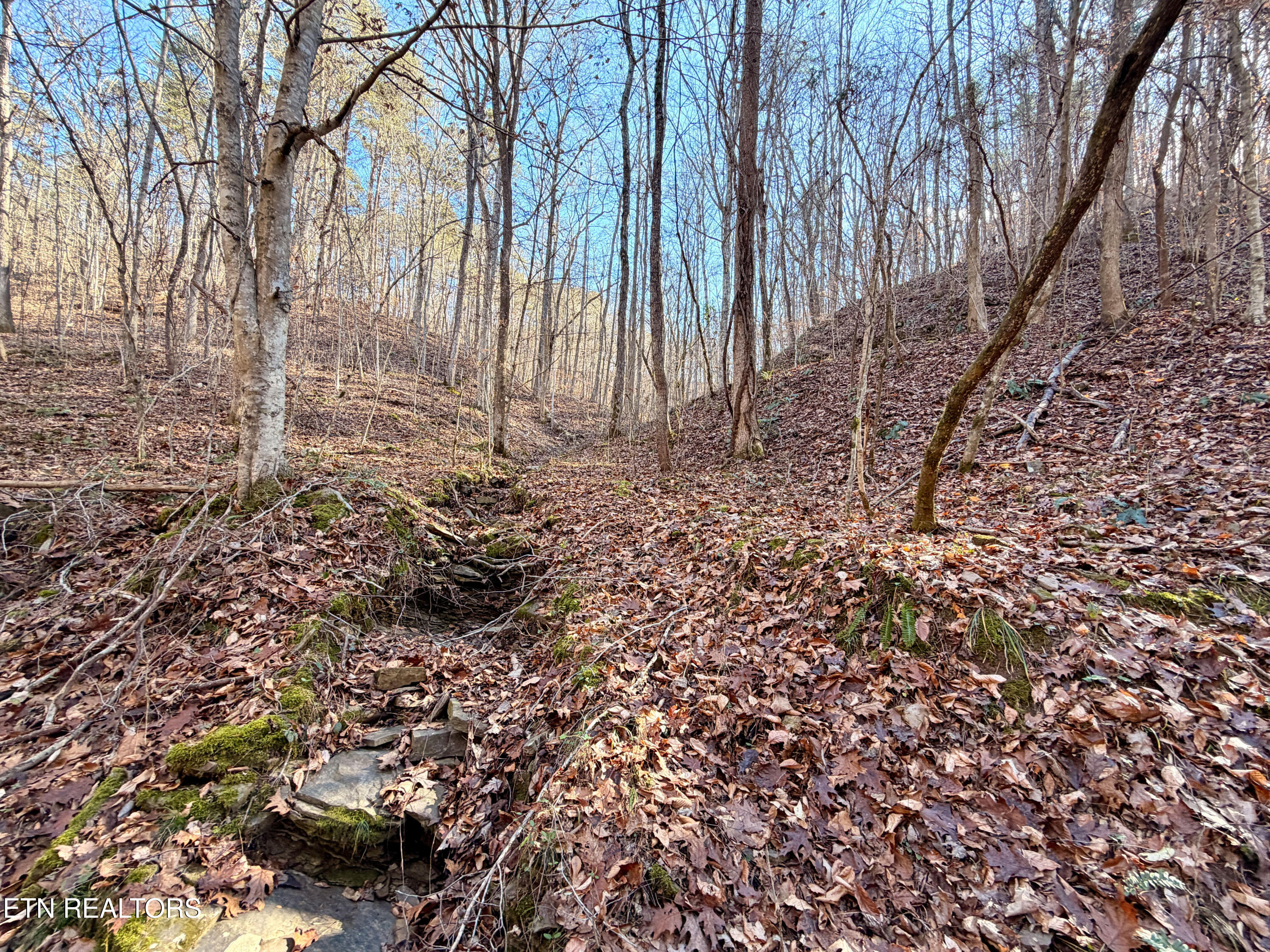 Laurel Bluff Road Kingston TN 37763