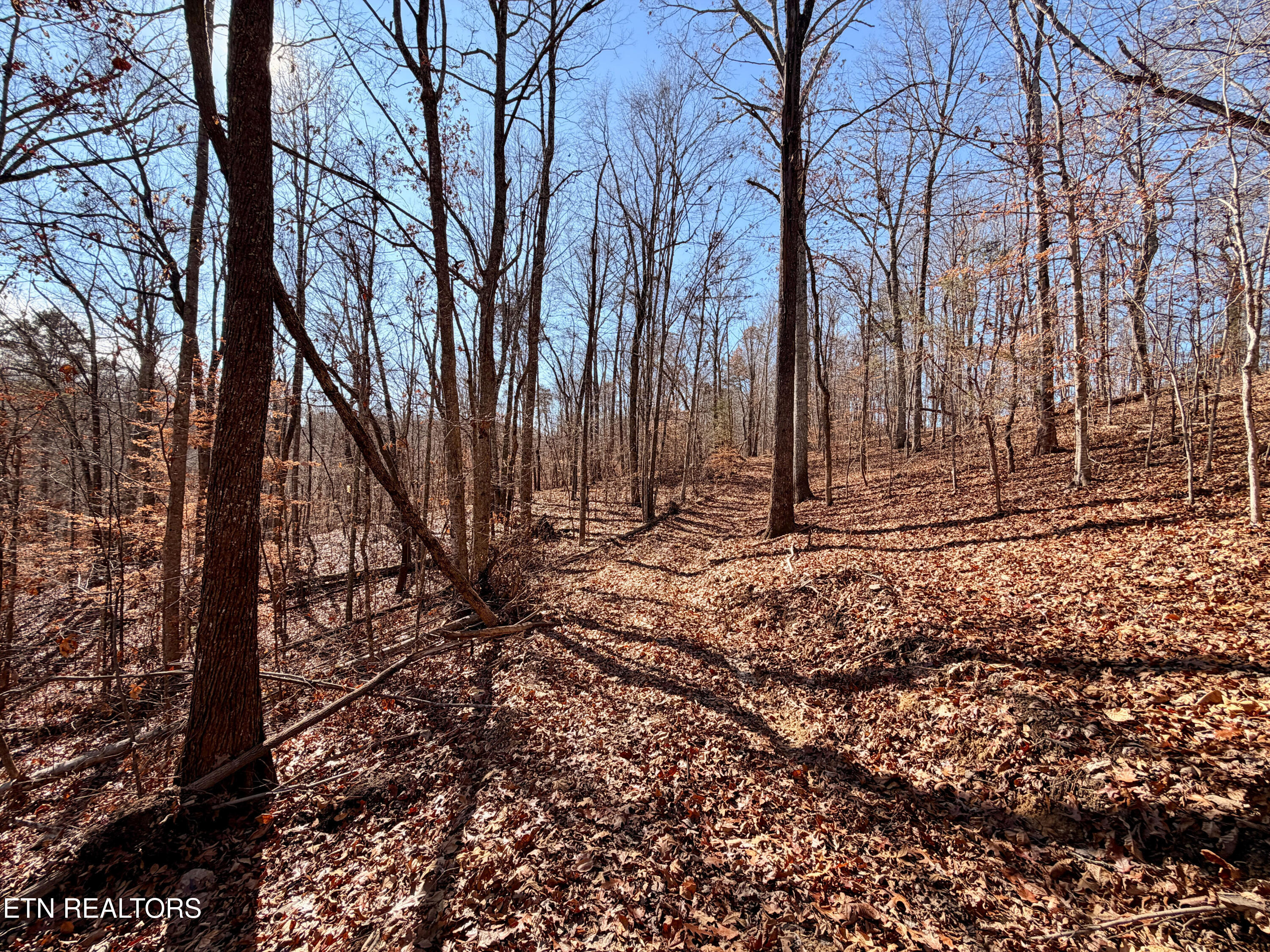 Laurel Bluff Road Kingston TN 37763