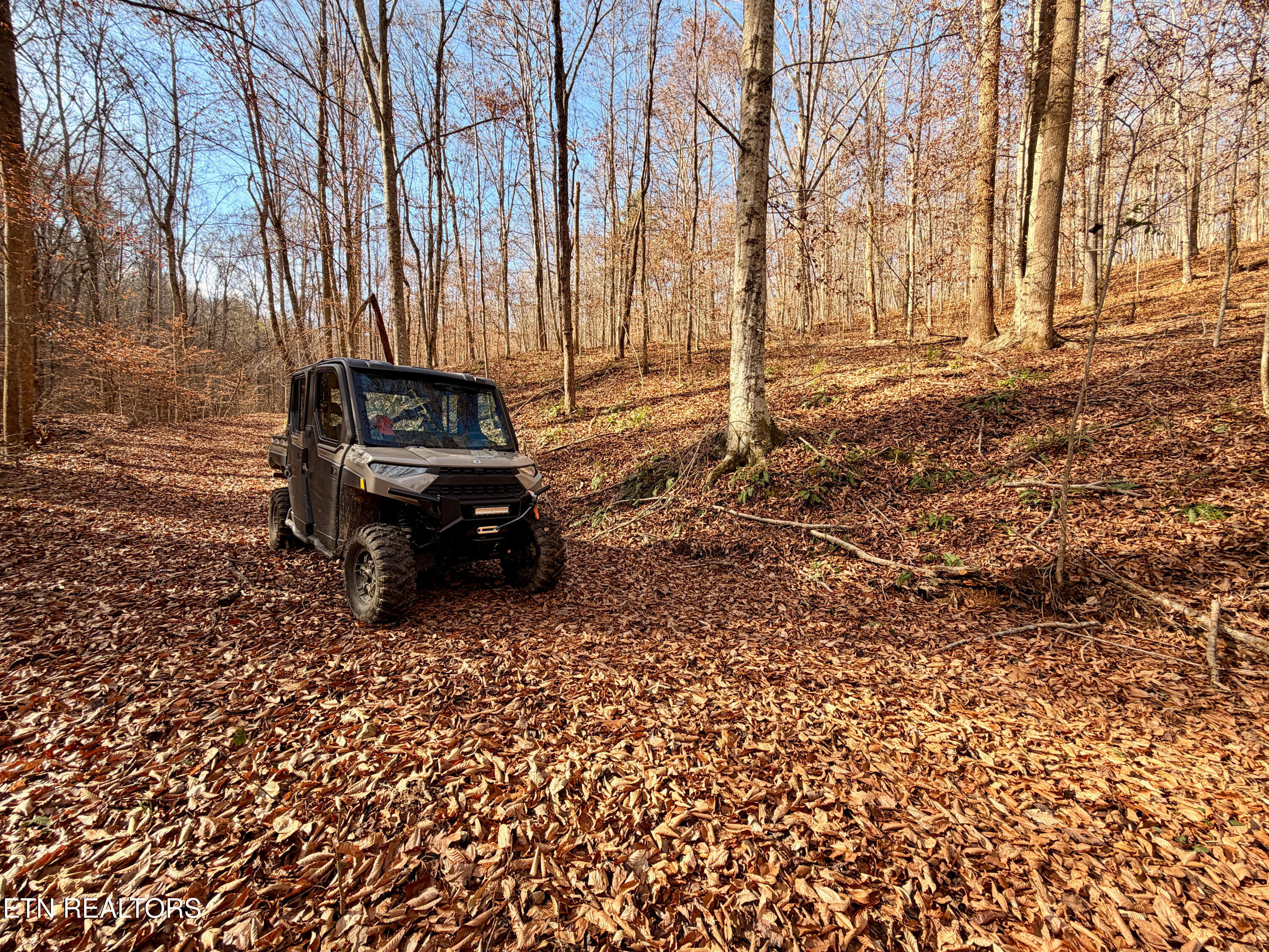 Laurel Bluff Road Kingston TN 37763