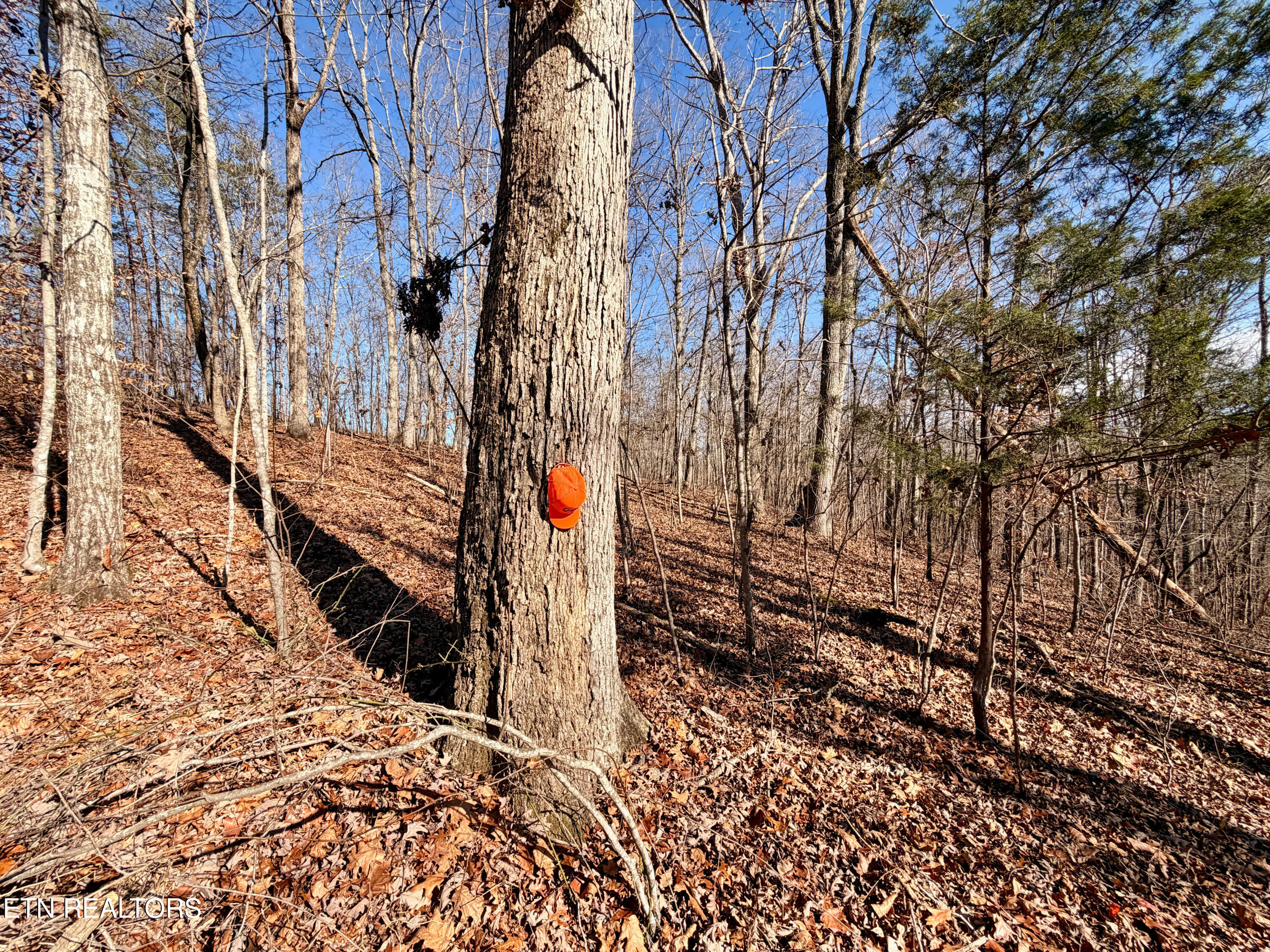 Laurel Bluff Road Kingston TN 37763