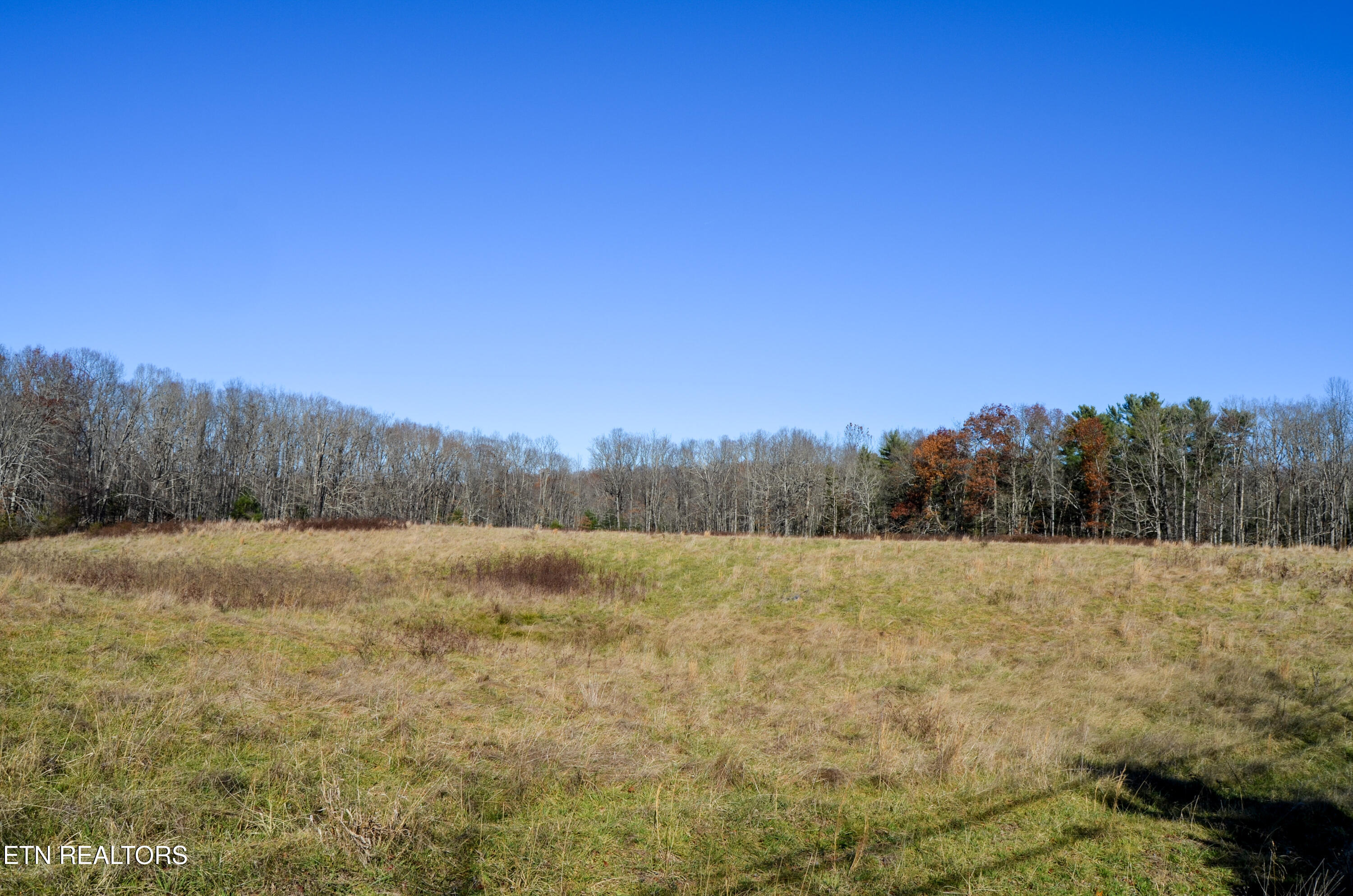 Sparta Highway 31.65 +/- Acres Crossville TN 38555