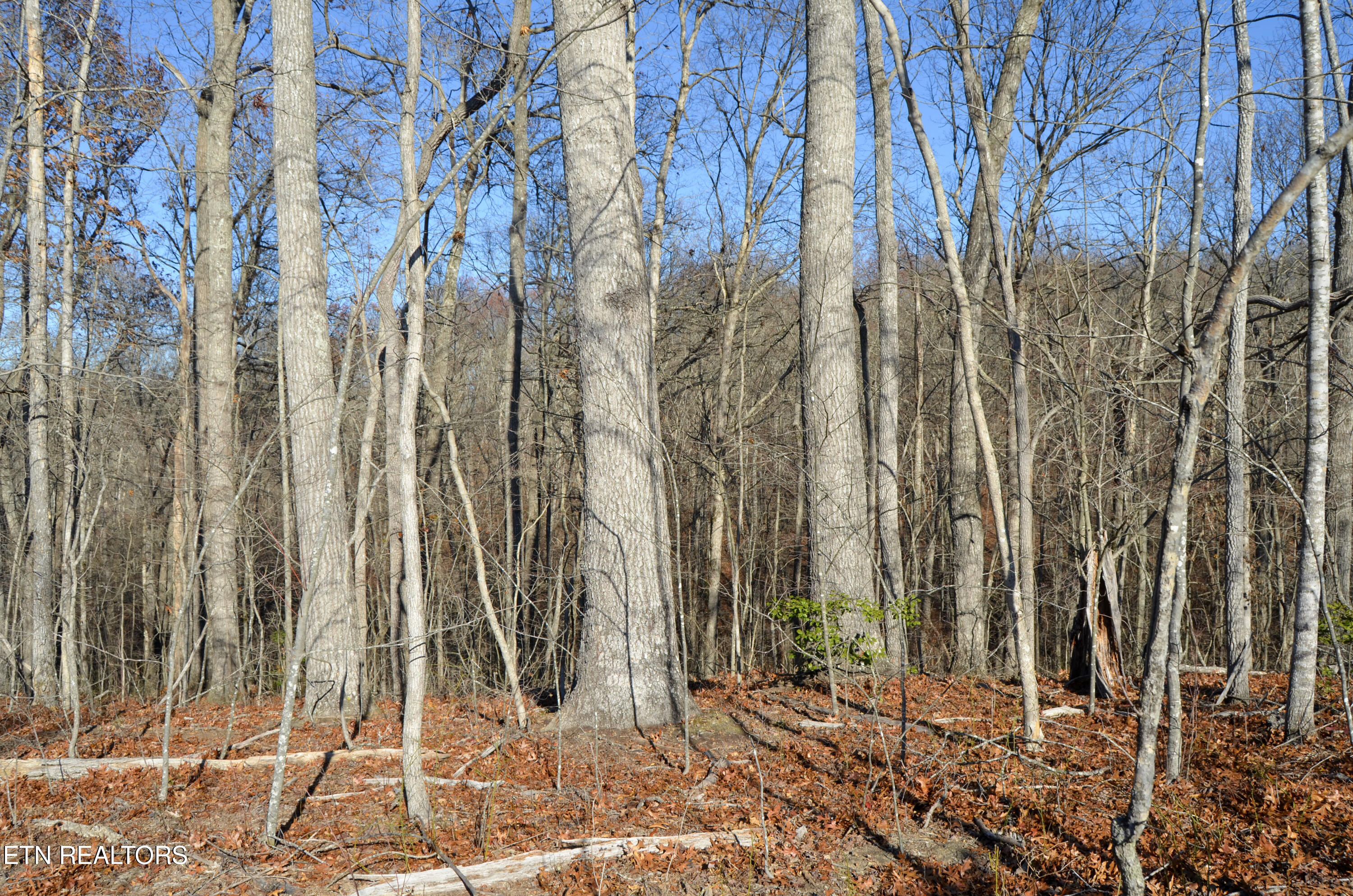 Sparta Highway 31.65 +/- Acres Crossville TN 38555