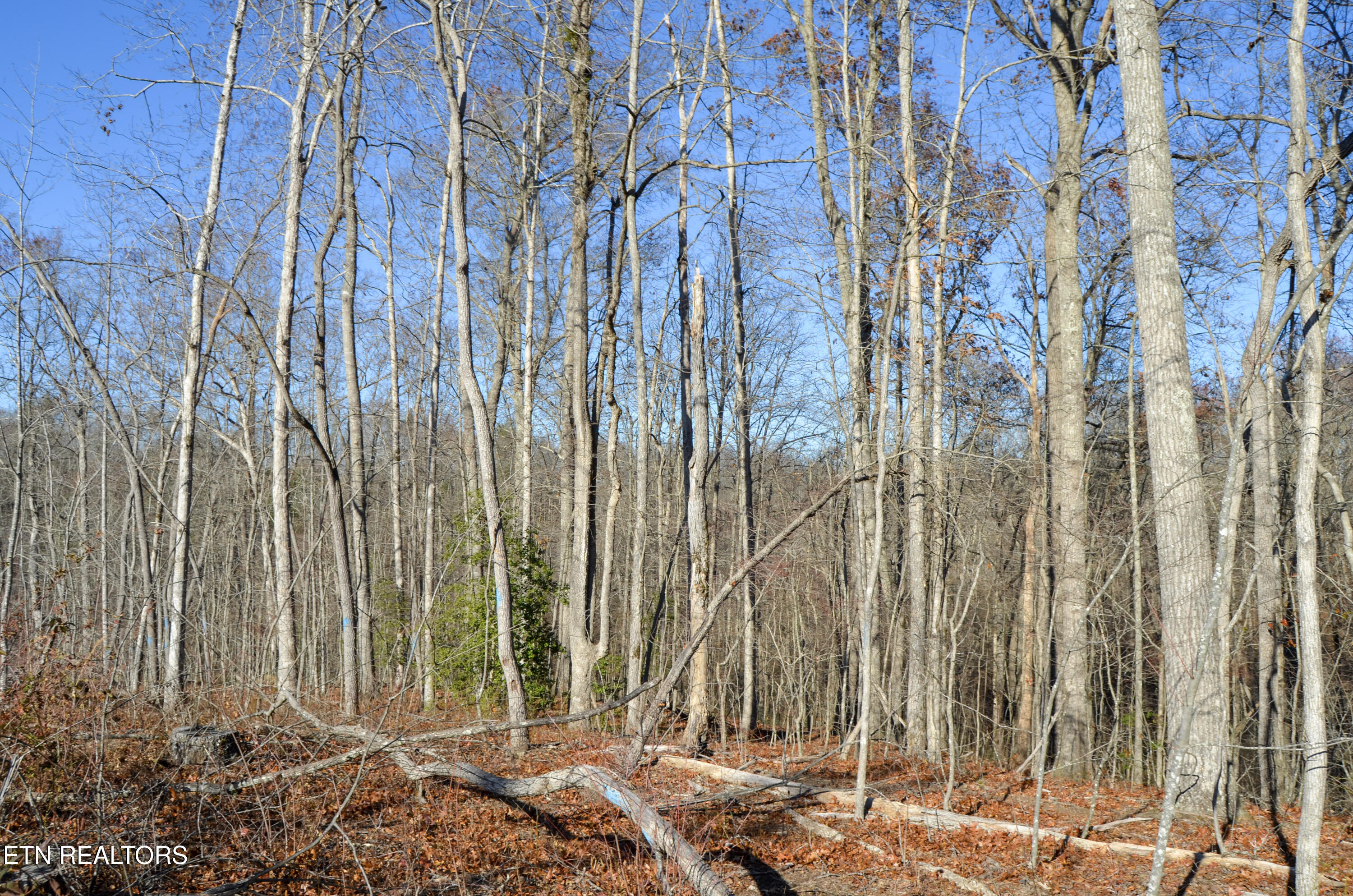 Sparta Highway 31.65 +/- Acres Crossville TN 38555