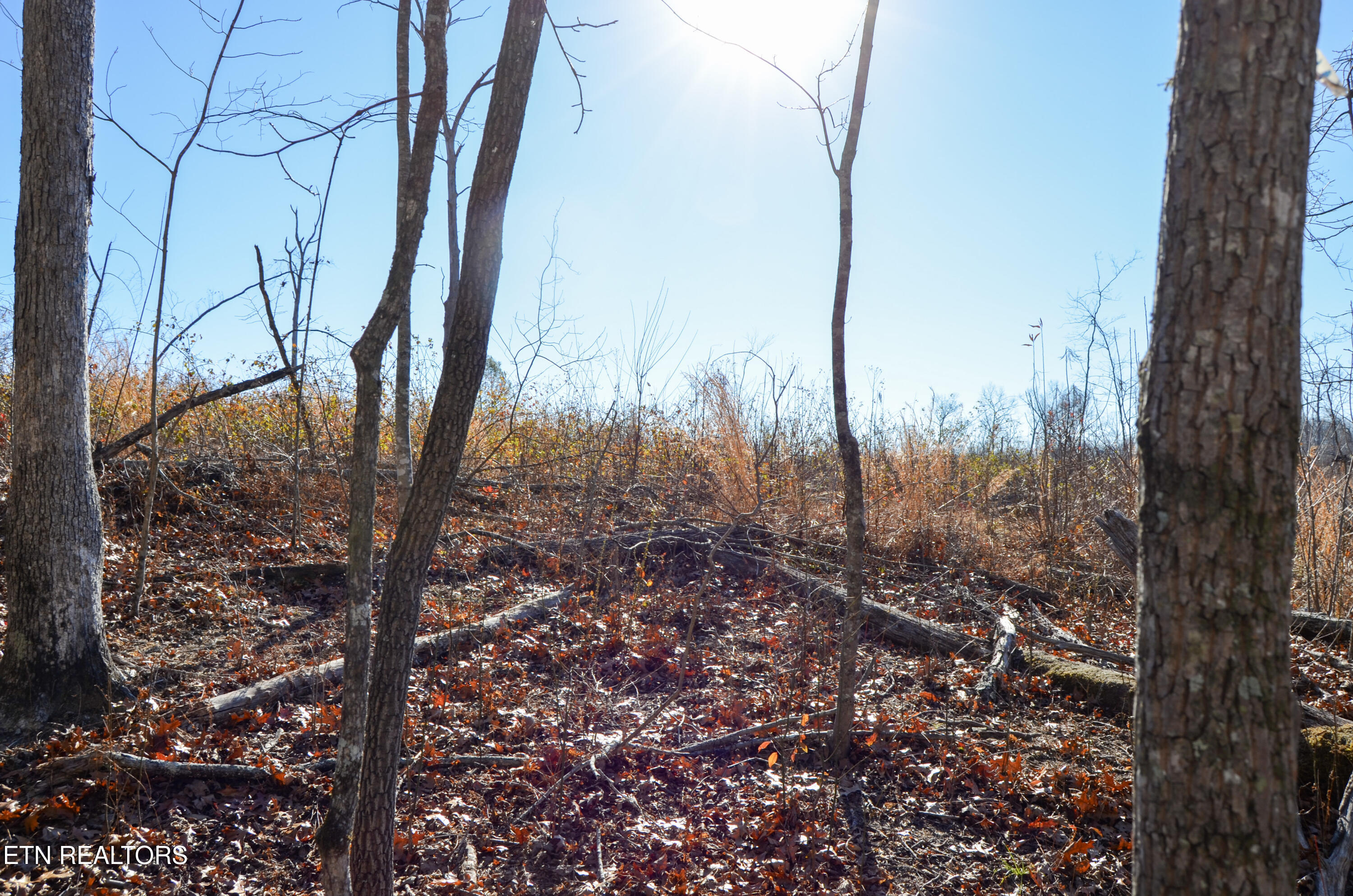 Sparta Highway 31.65 +/- Acres Crossville TN 38555