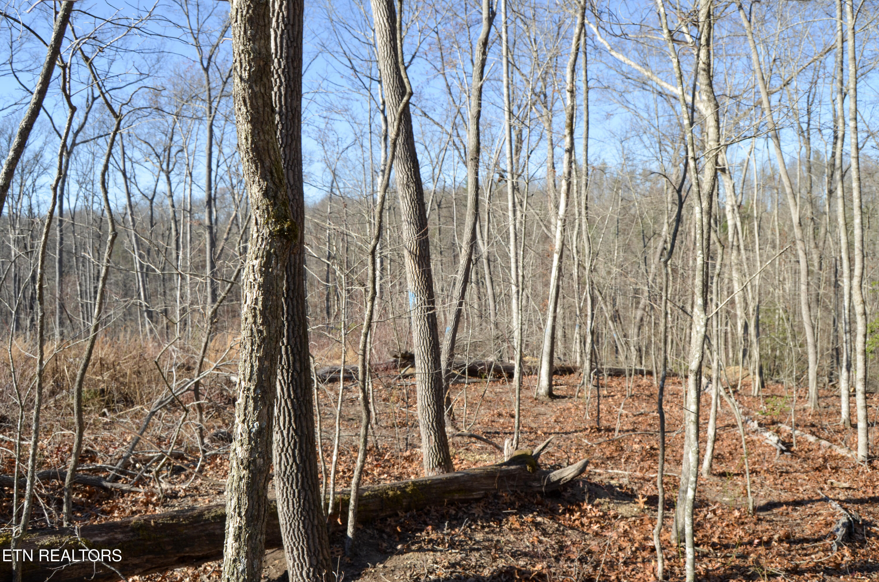 Sparta Highway 31.65 +/- Acres Crossville TN 38555