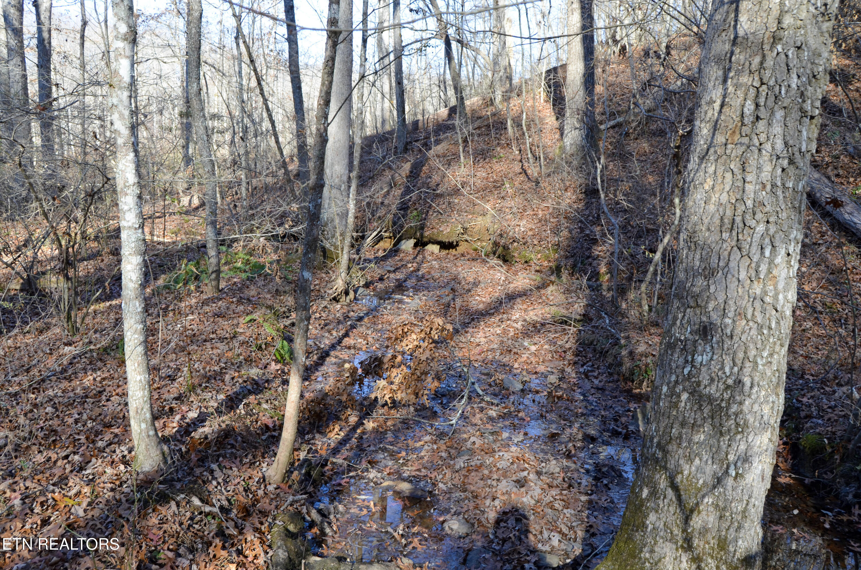 Sparta Highway 31.65 +/- Acres Crossville TN 38555
