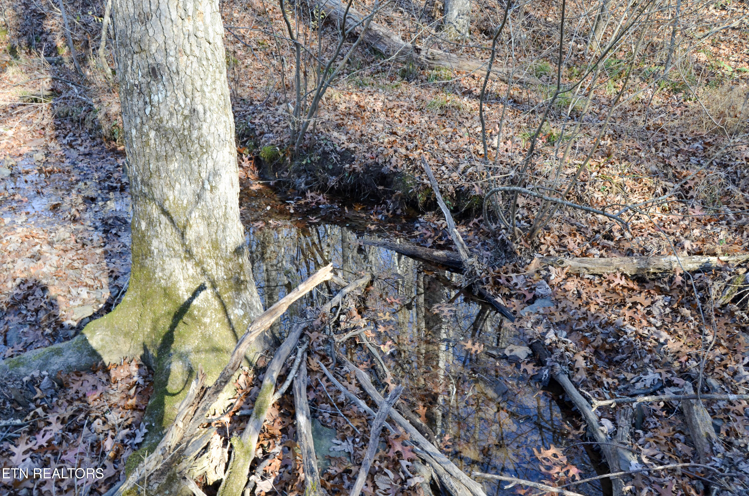 Sparta Highway 31.65 +/- Acres Crossville TN 38555