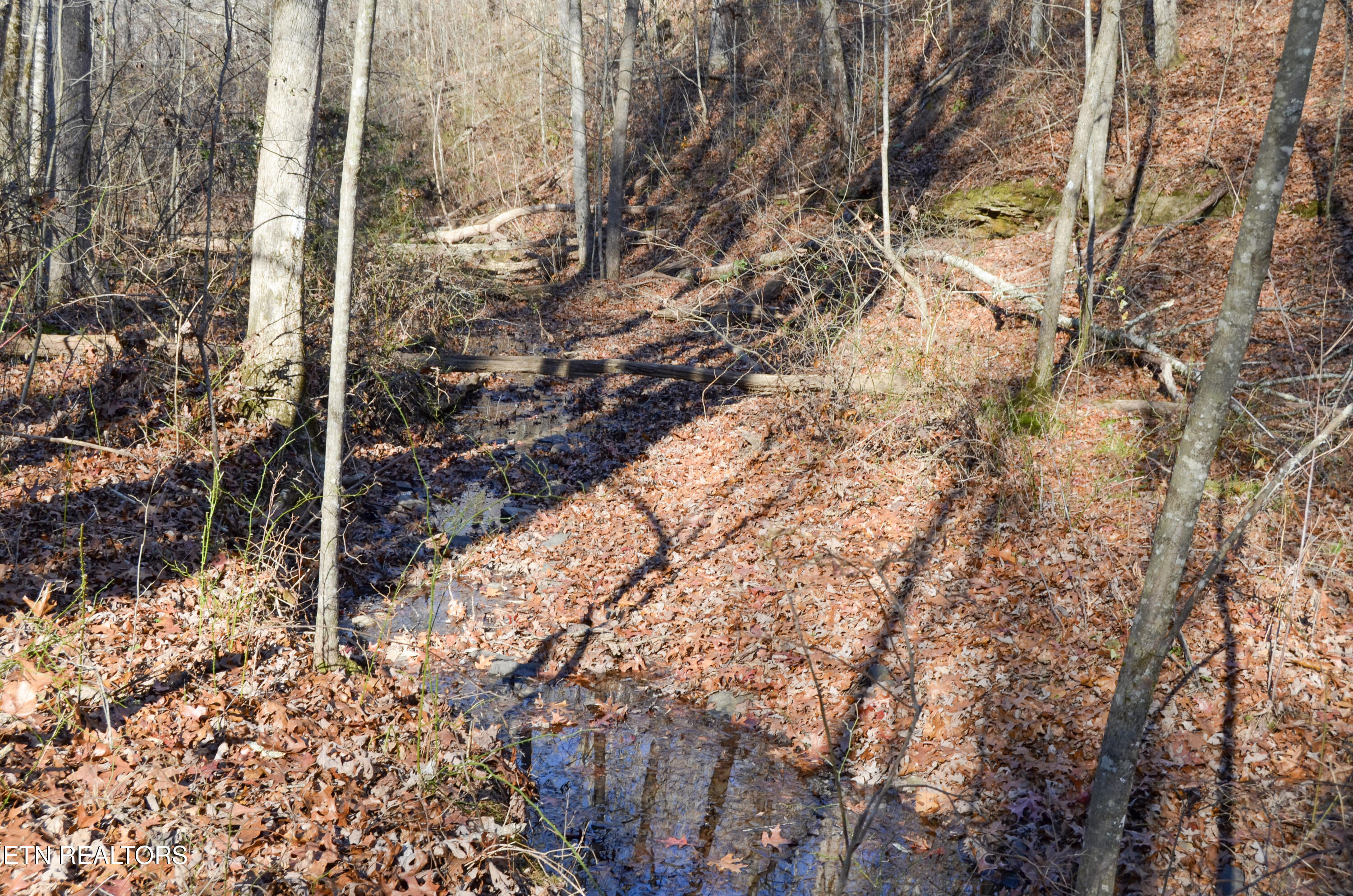 Sparta Highway 31.65 +/- Acres Crossville TN 38555