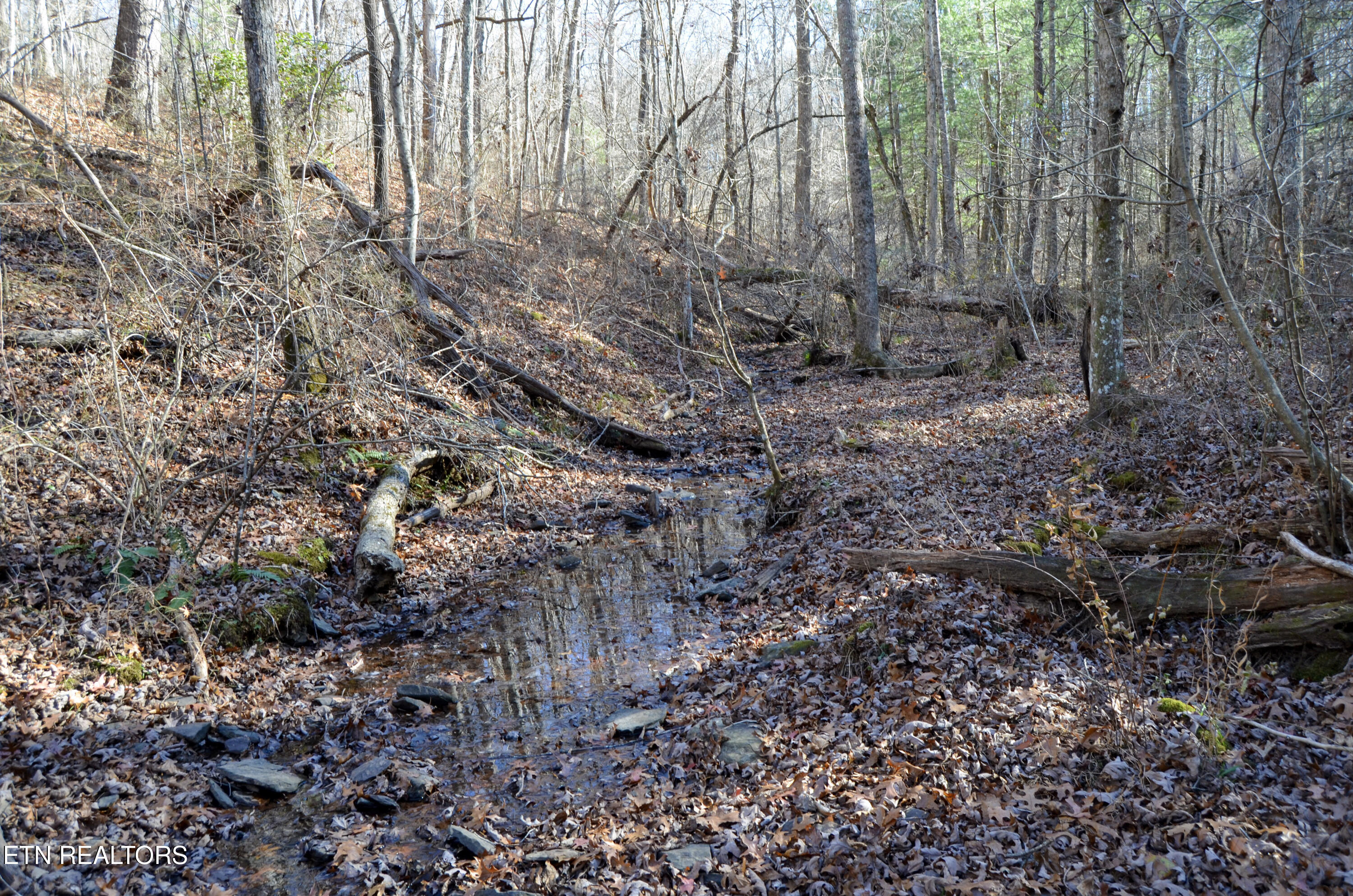 Sparta Highway 31.65 +/- Acres Crossville TN 38555