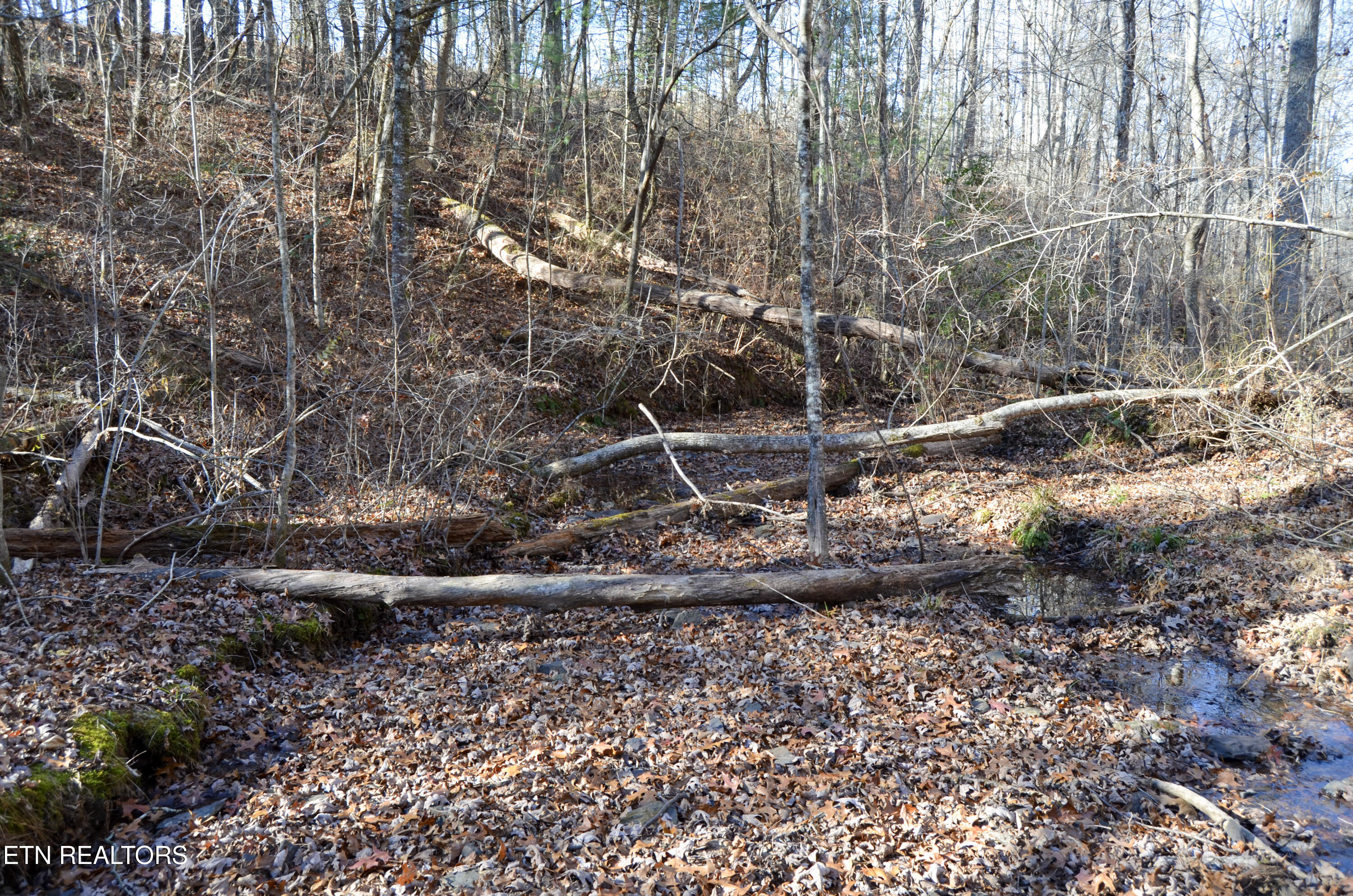 Sparta Highway 31.65 +/- Acres Crossville TN 38555