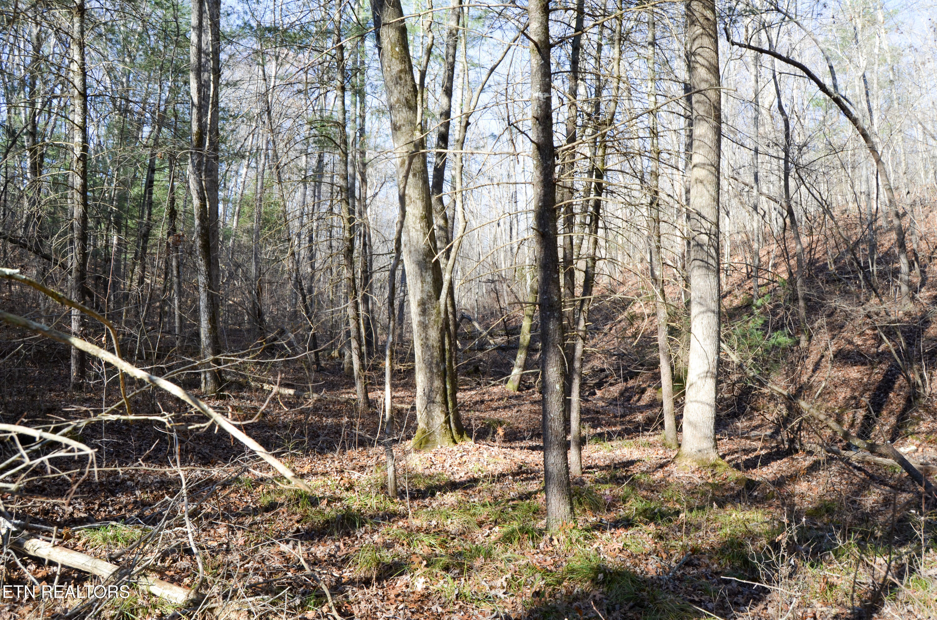 Sparta Highway 31.65 +/- Acres Crossville TN 38555
