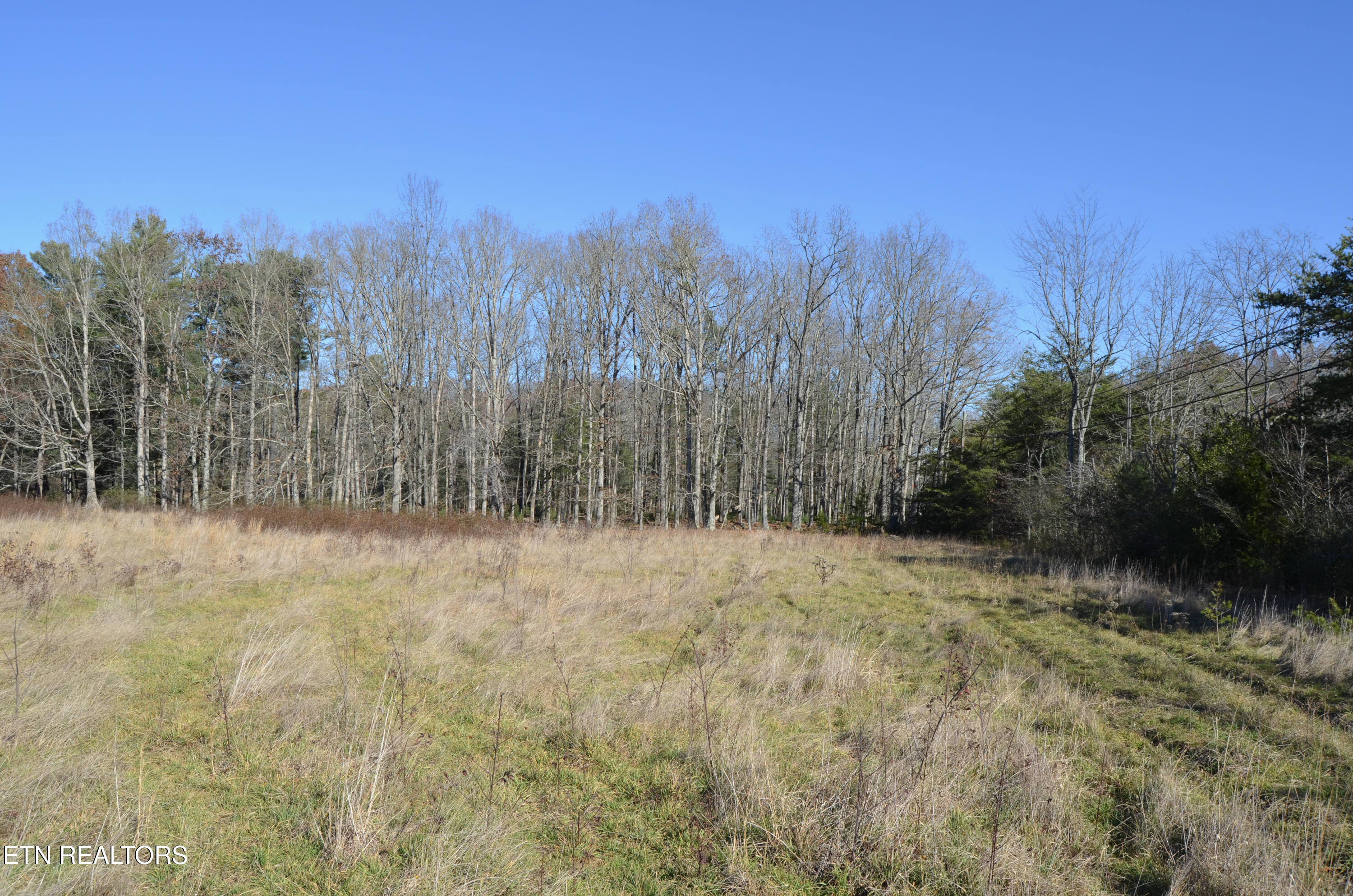 Sparta Highway 31.65 +/- Acres Crossville TN 38555