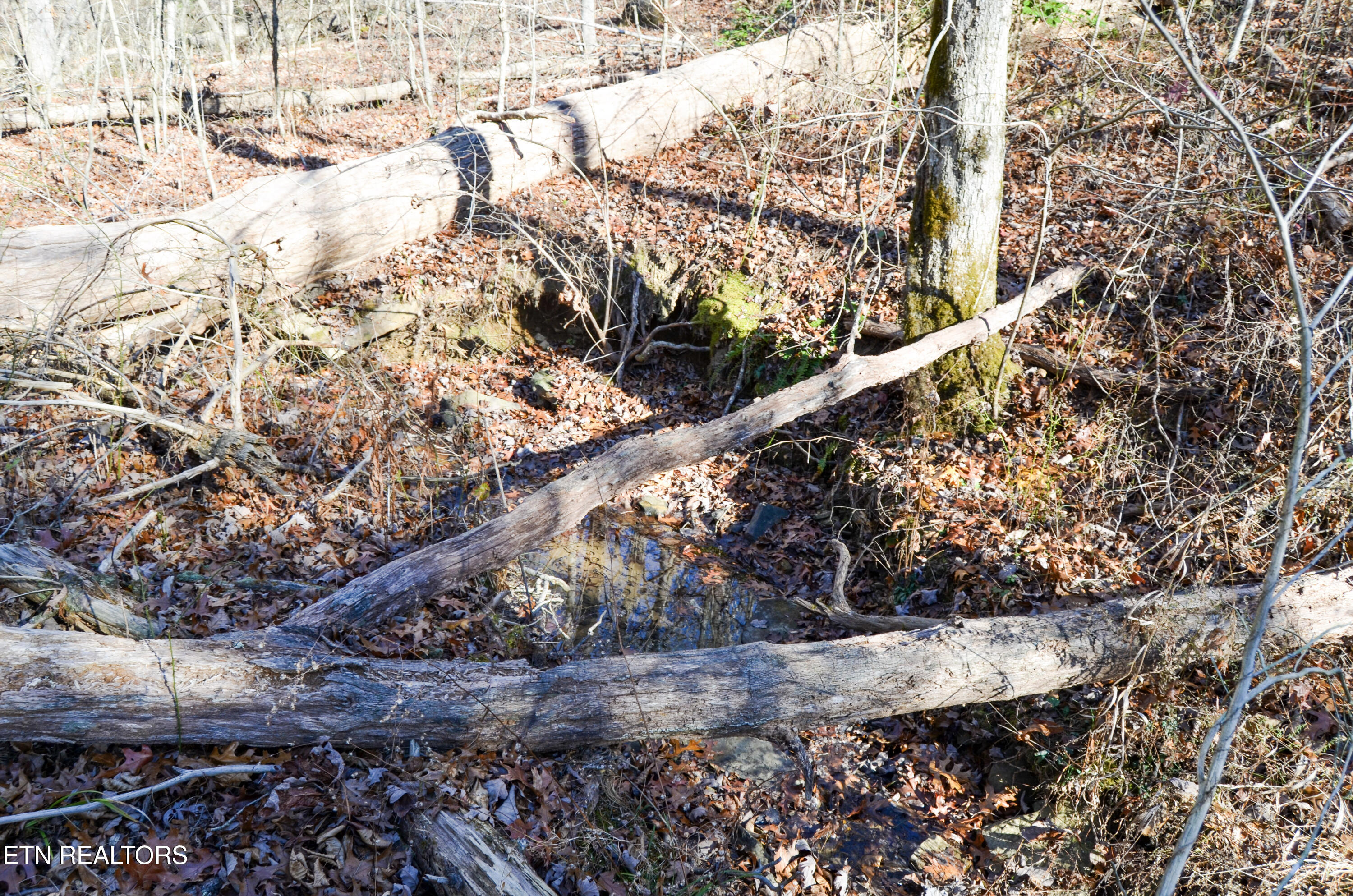 Sparta Highway 31.65 +/- Acres Crossville TN 38555