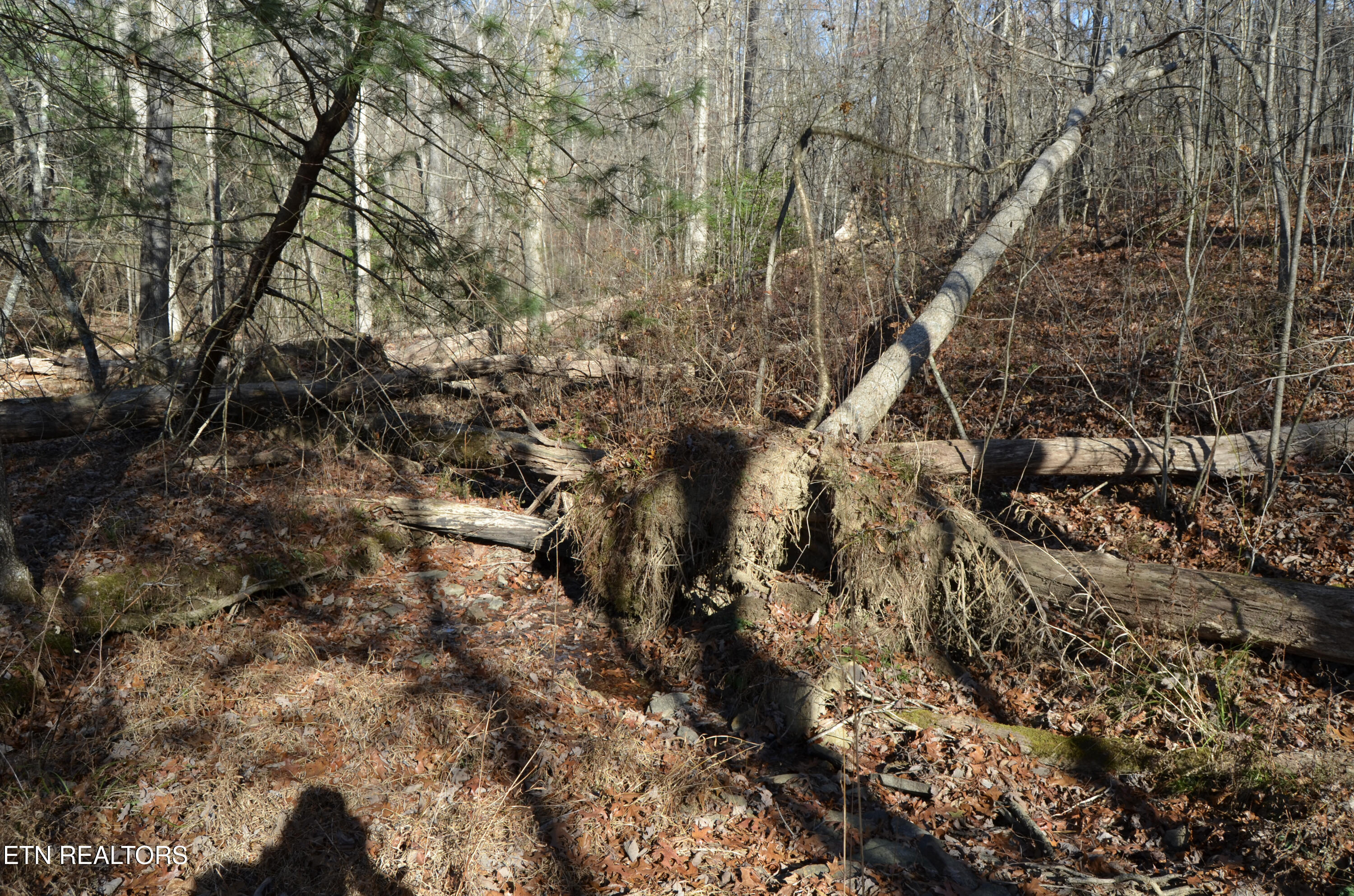 Sparta Highway 31.65 +/- Acres Crossville TN 38555