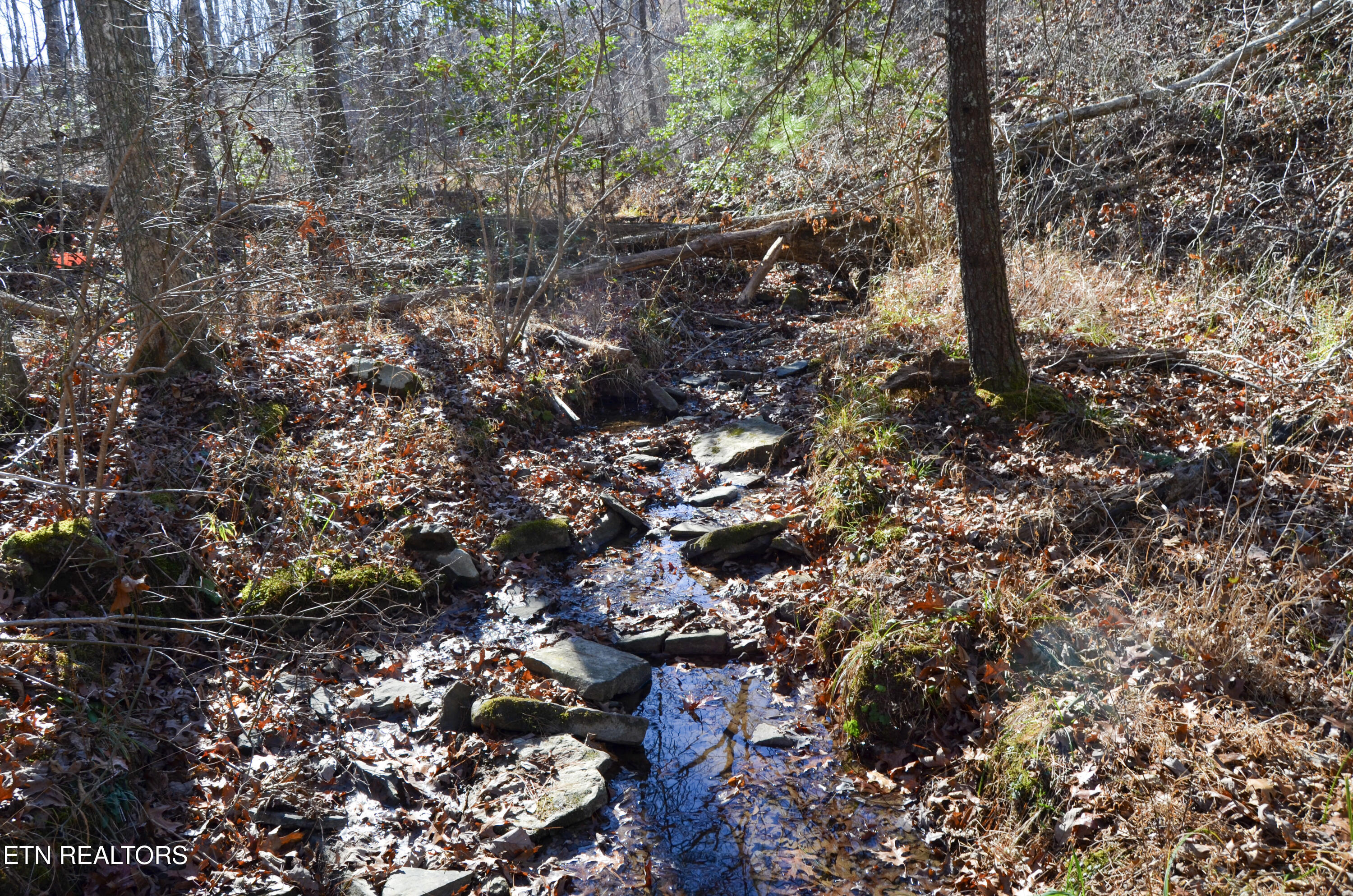 Sparta Highway 31.65 +/- Acres Crossville TN 38555