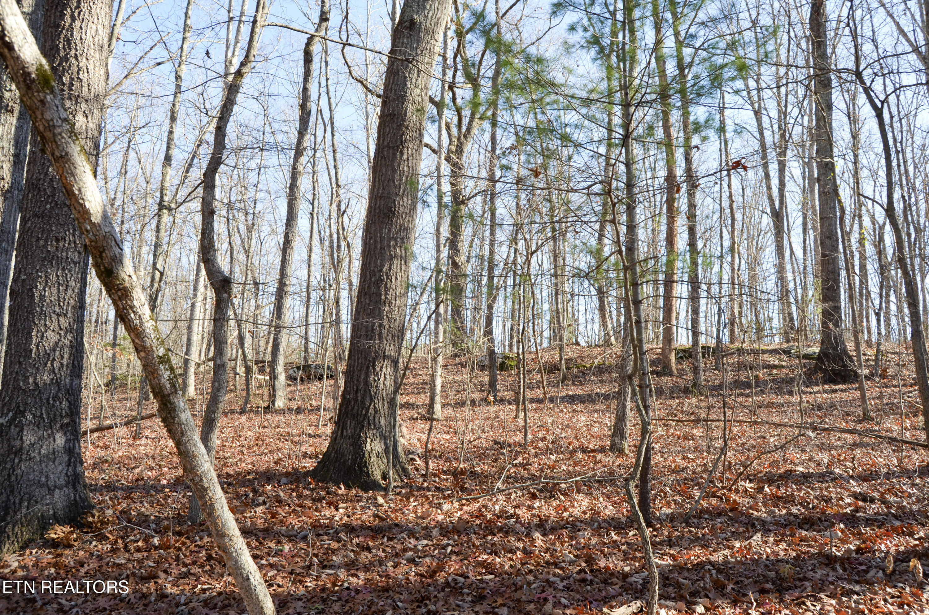 Sparta Highway 31.65 +/- Acres Crossville TN 38555