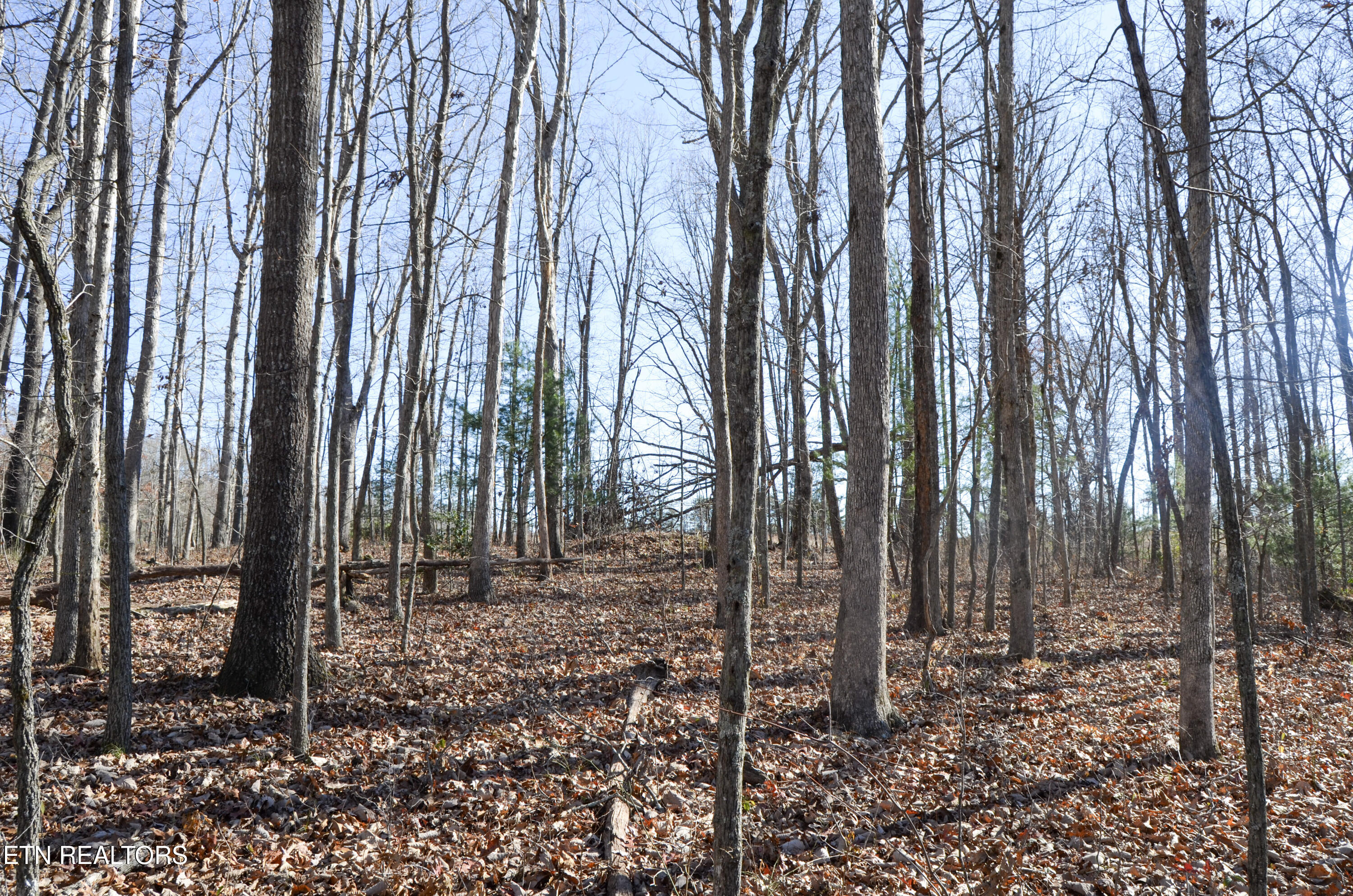 Sparta Highway 31.65 +/- Acres Crossville TN 38555