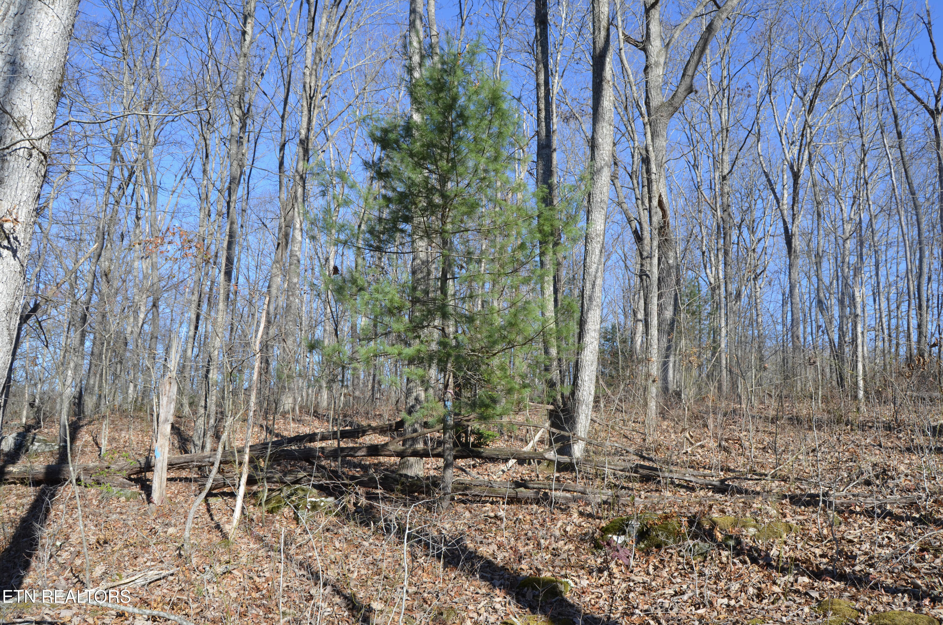 Sparta Highway 31.65 +/- Acres Crossville TN 38555