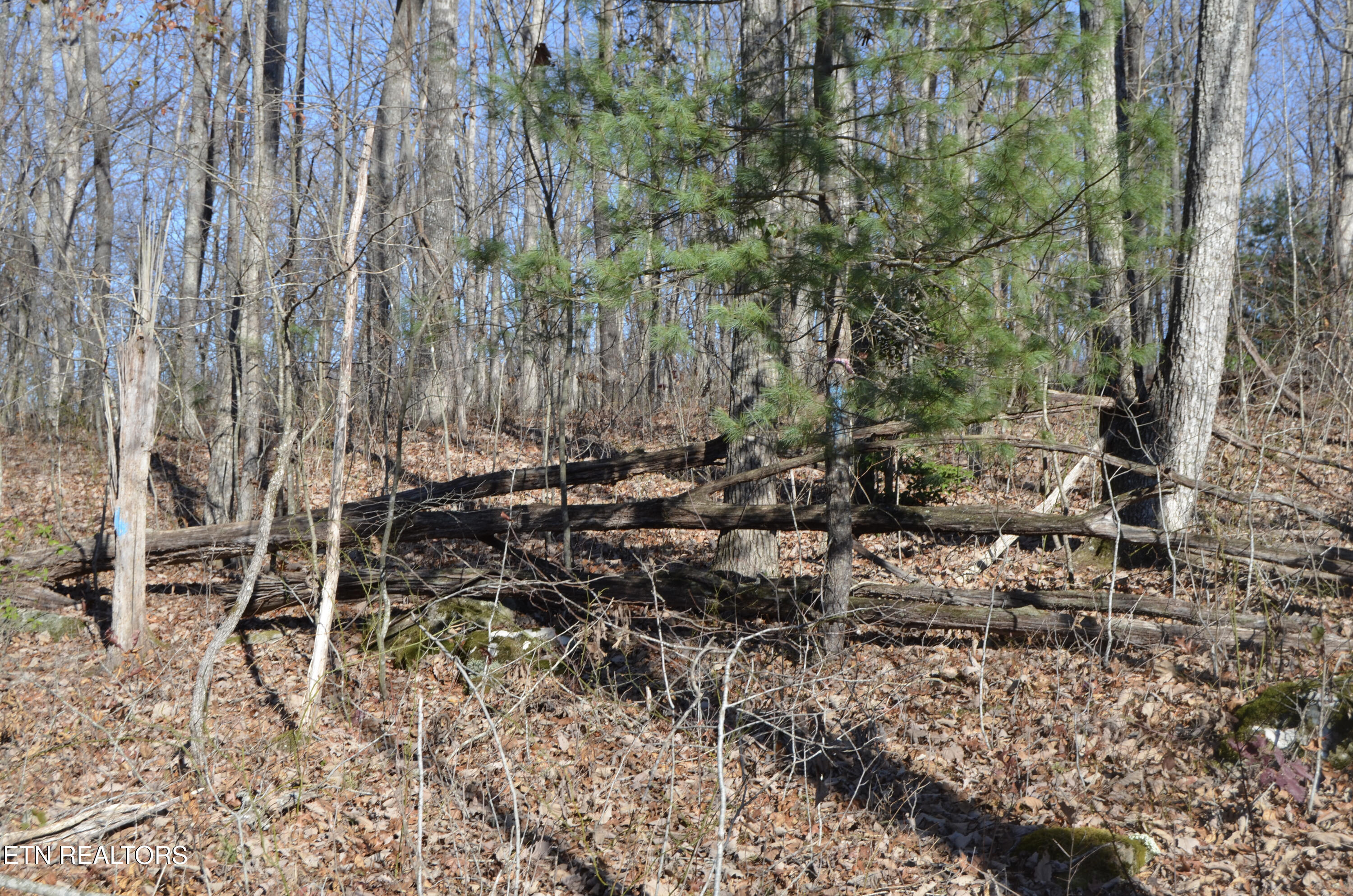 Sparta Highway 31.65 +/- Acres Crossville TN 38555