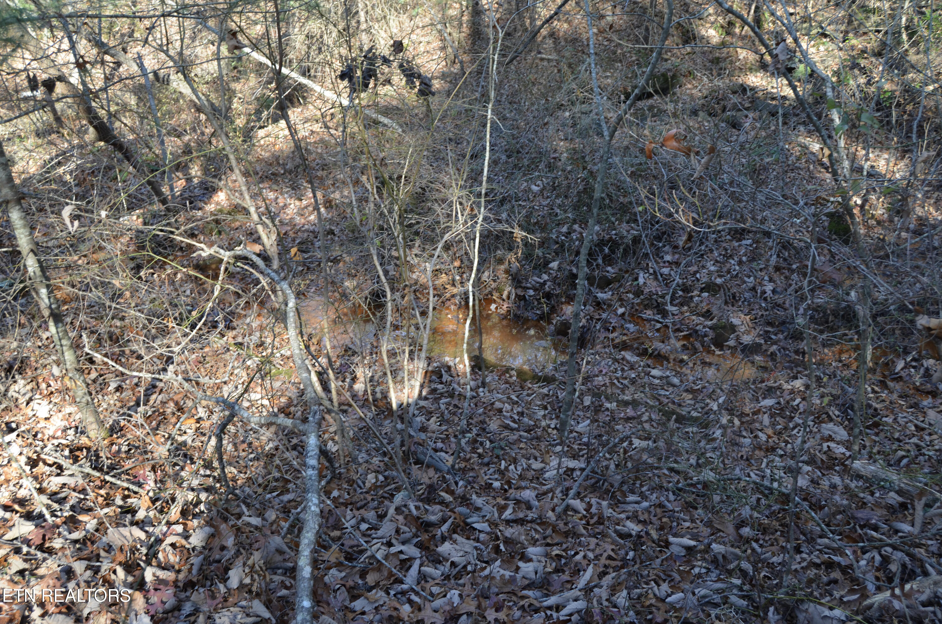 Sparta Highway 31.65 +/- Acres Crossville TN 38555