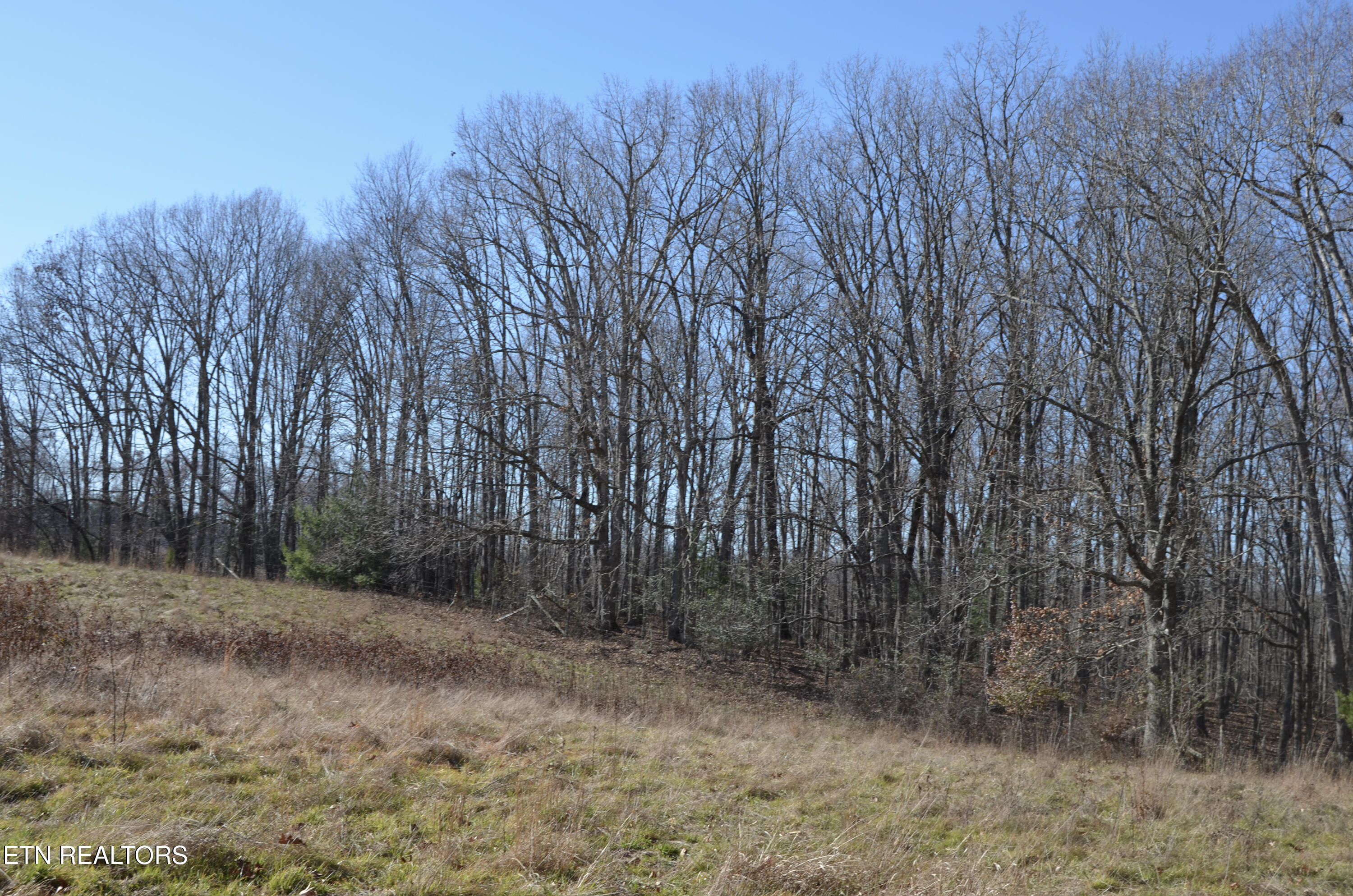 Sparta Highway 31.65 +/- Acres Crossville TN 38555