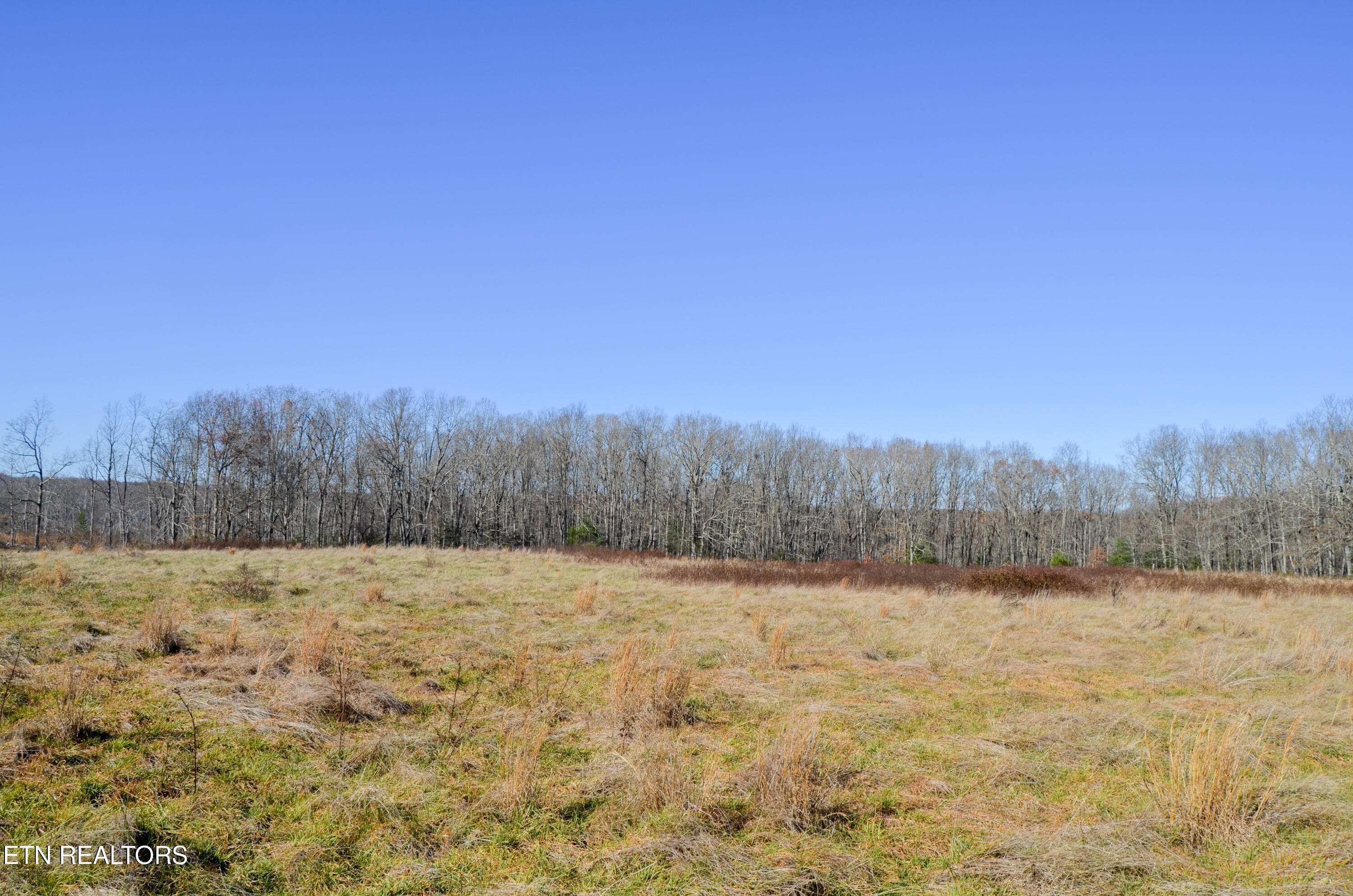 Sparta Highway 31.65 +/- Acres Crossville TN 38555