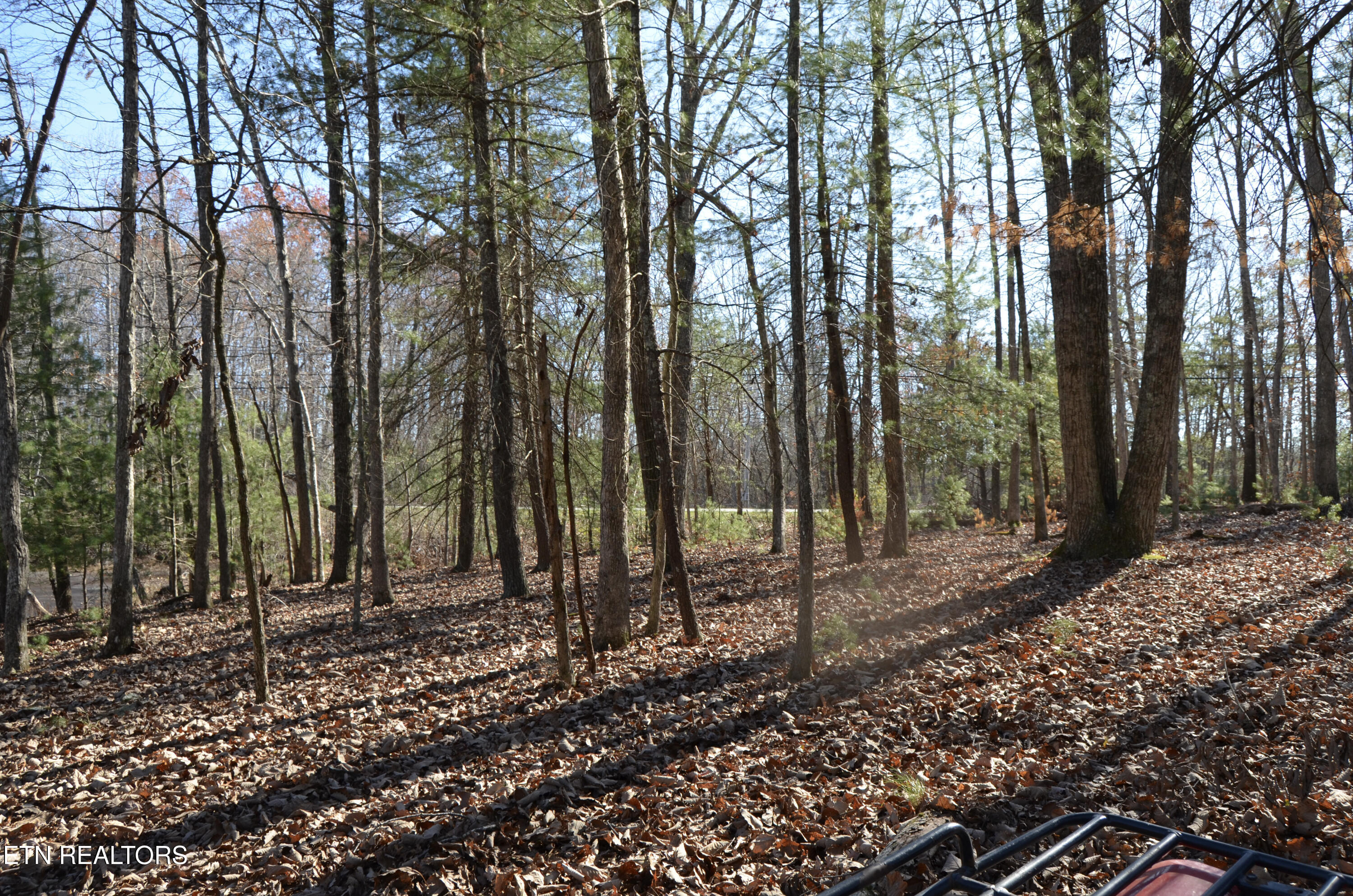Sparta Highway 31.65 +/- Acres Crossville TN 38555