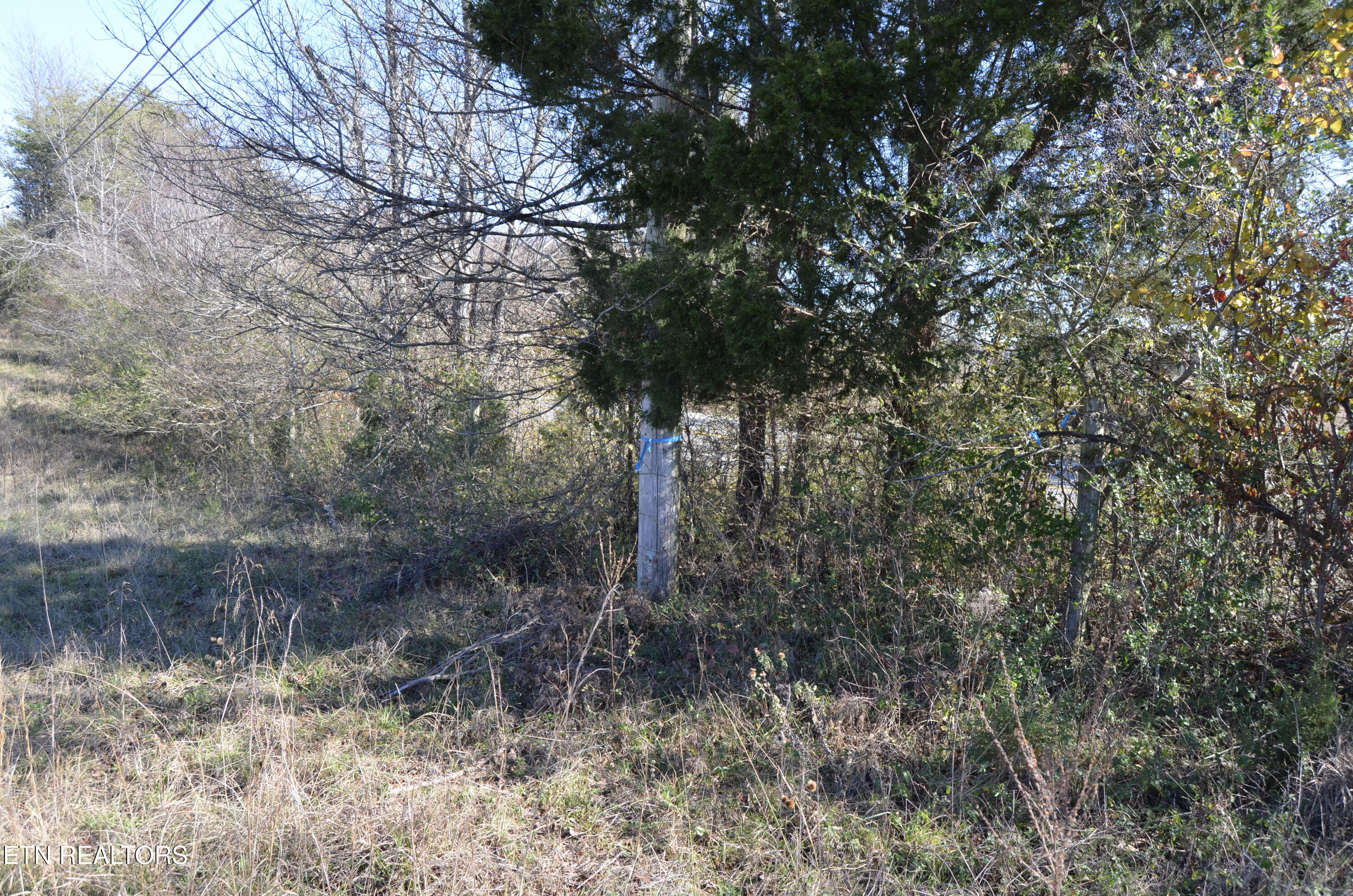 Sparta Highway 31.65 +/- Acres Crossville TN 38555