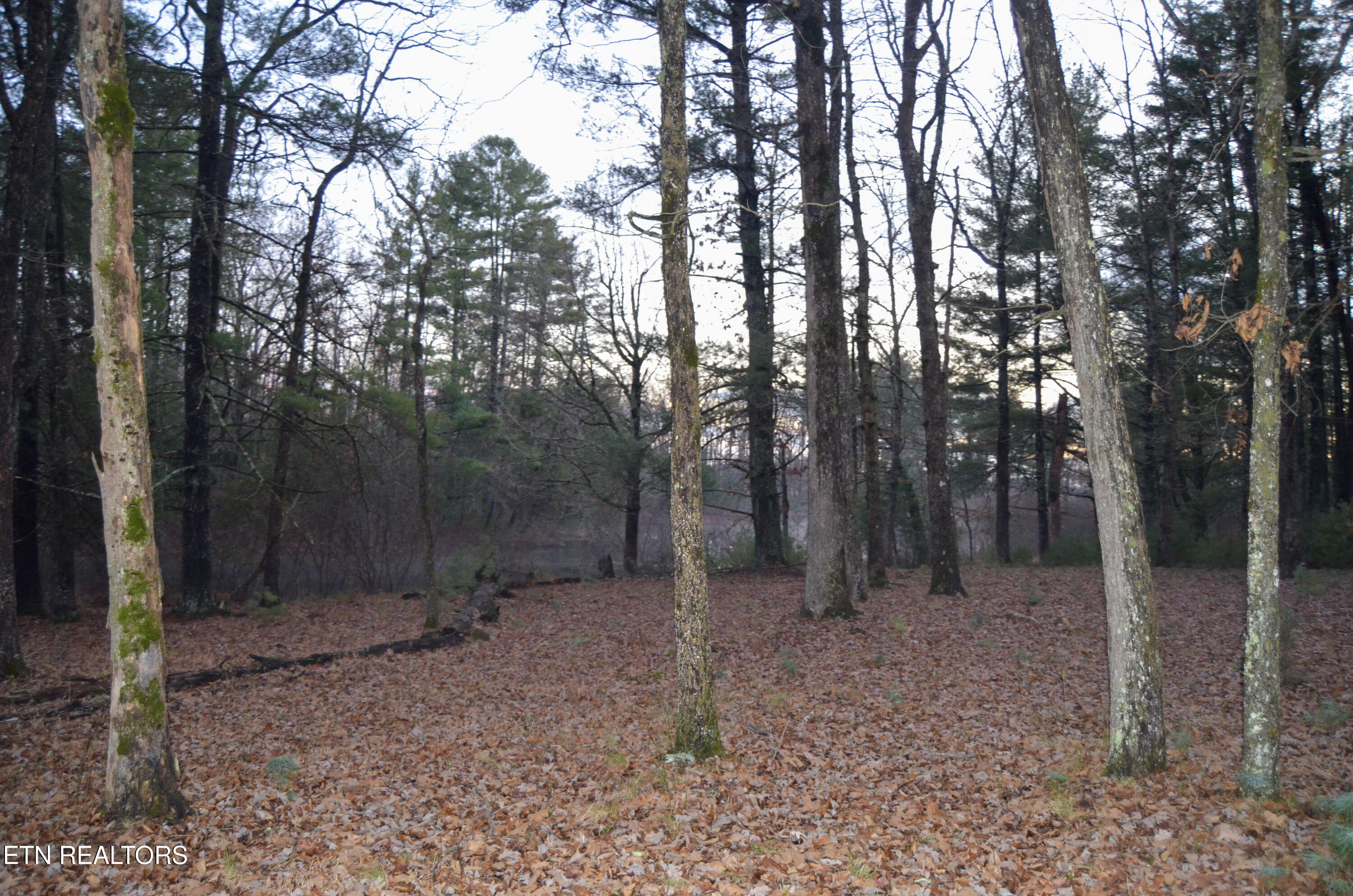Sparta Highway 31.65 +/- Acres Crossville TN 38555