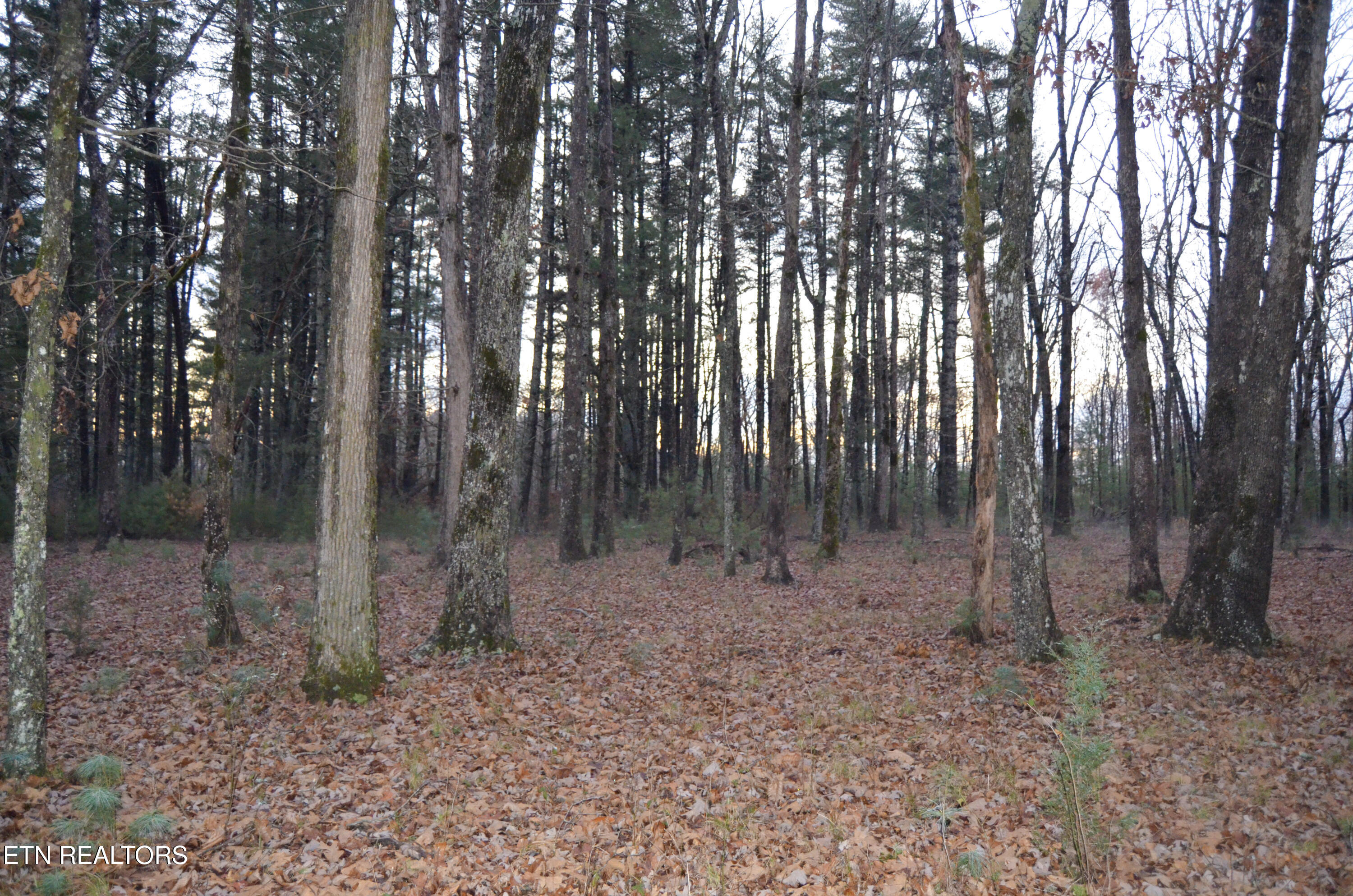 Sparta Highway 31.65 +/- Acres Crossville TN 38555