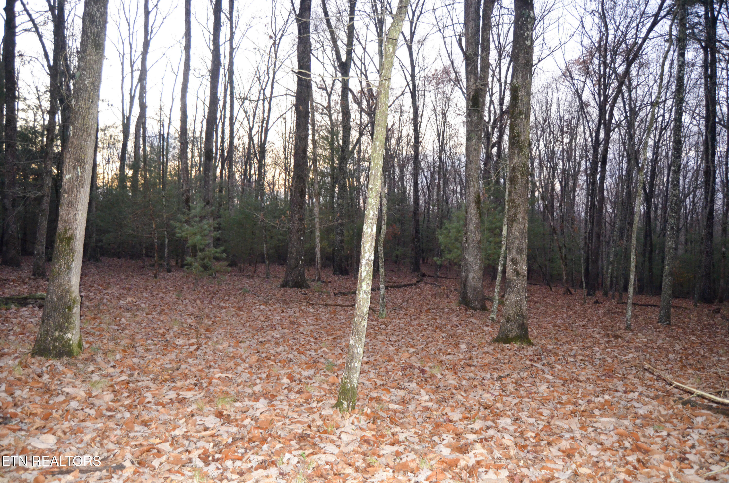 Sparta Highway 31.65 +/- Acres Crossville TN 38555