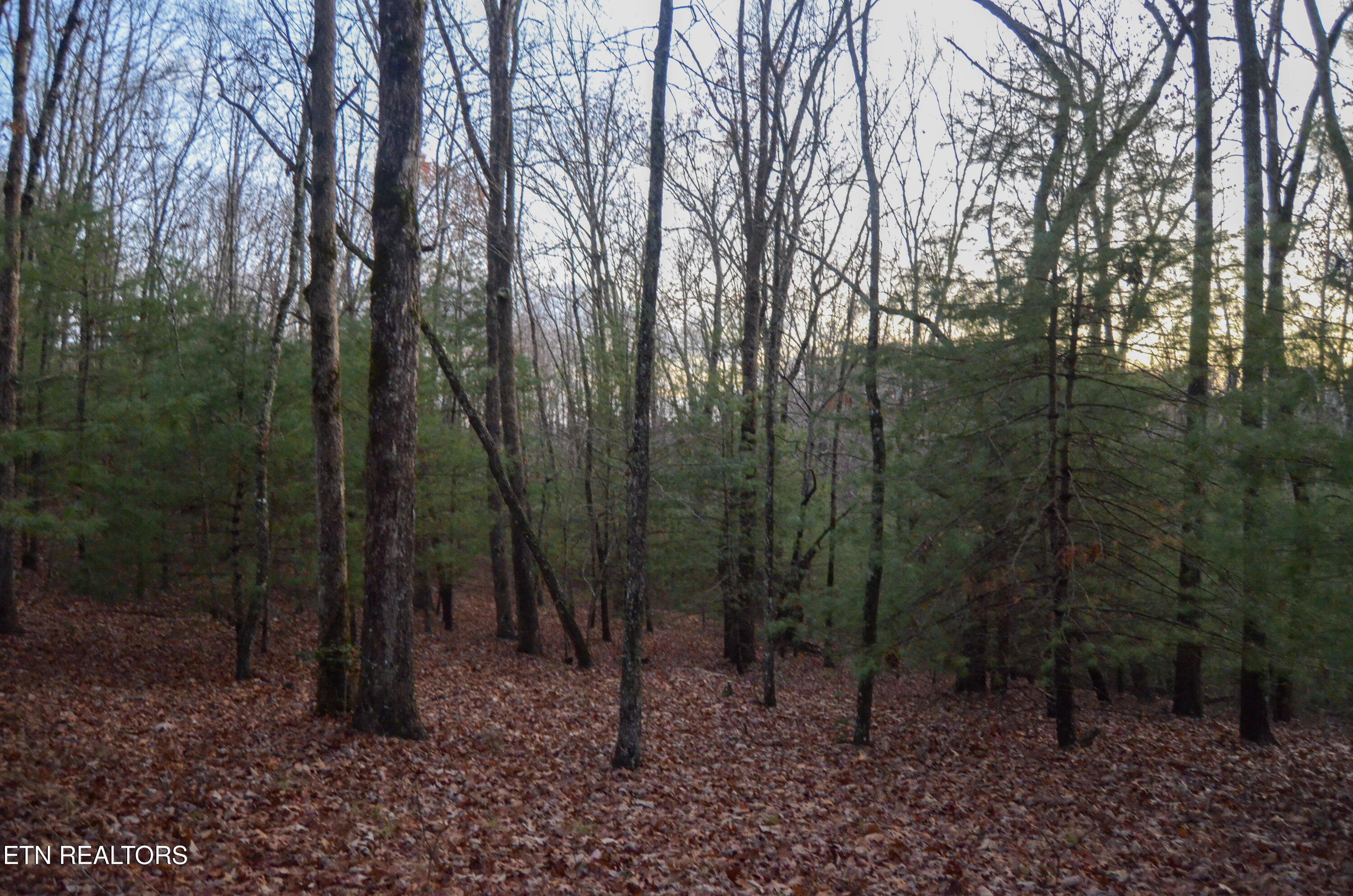 Sparta Highway 31.65 +/- Acres Crossville TN 38555