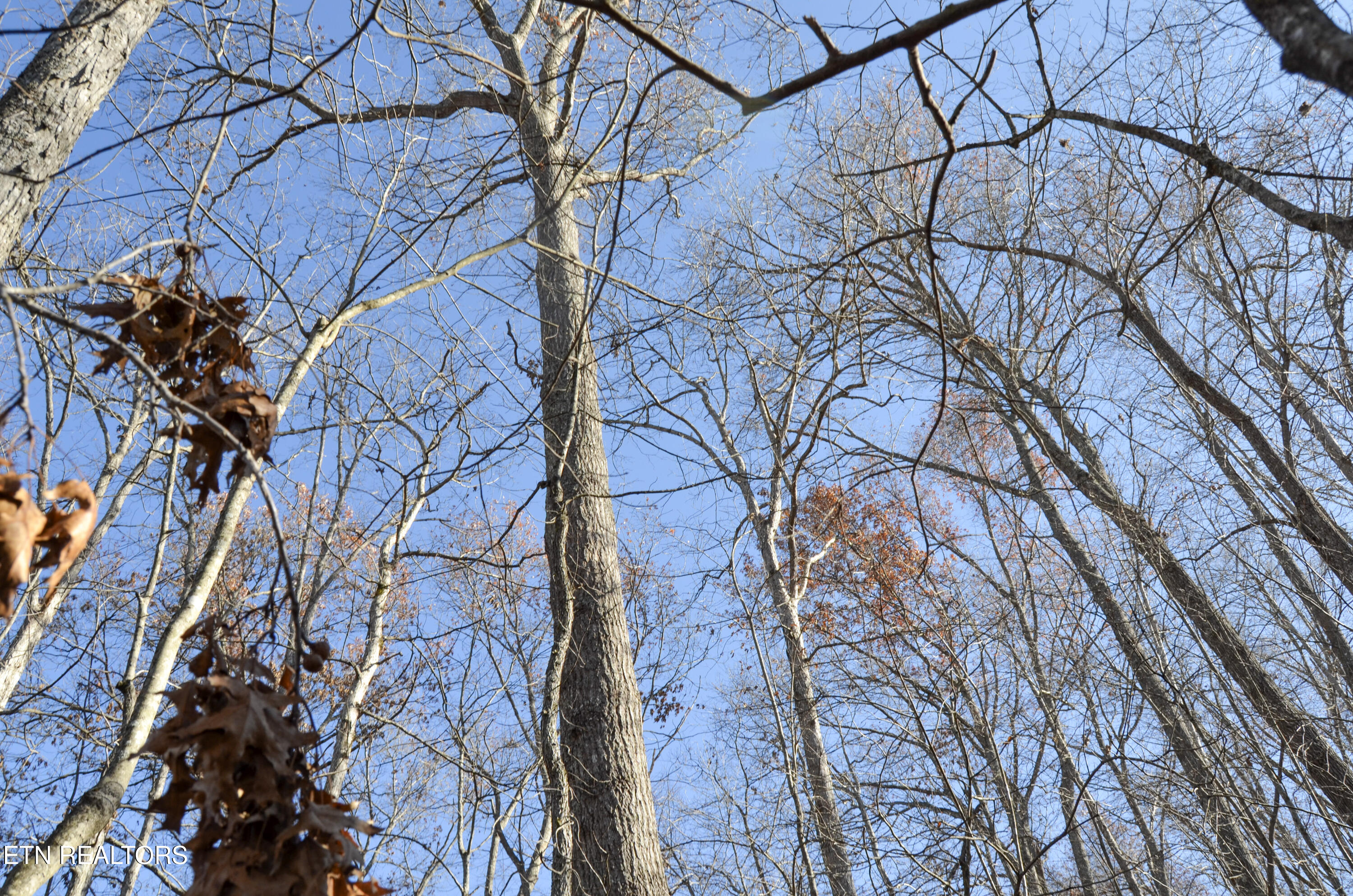 Sparta Highway 31.65 +/- Acres Crossville TN 38555