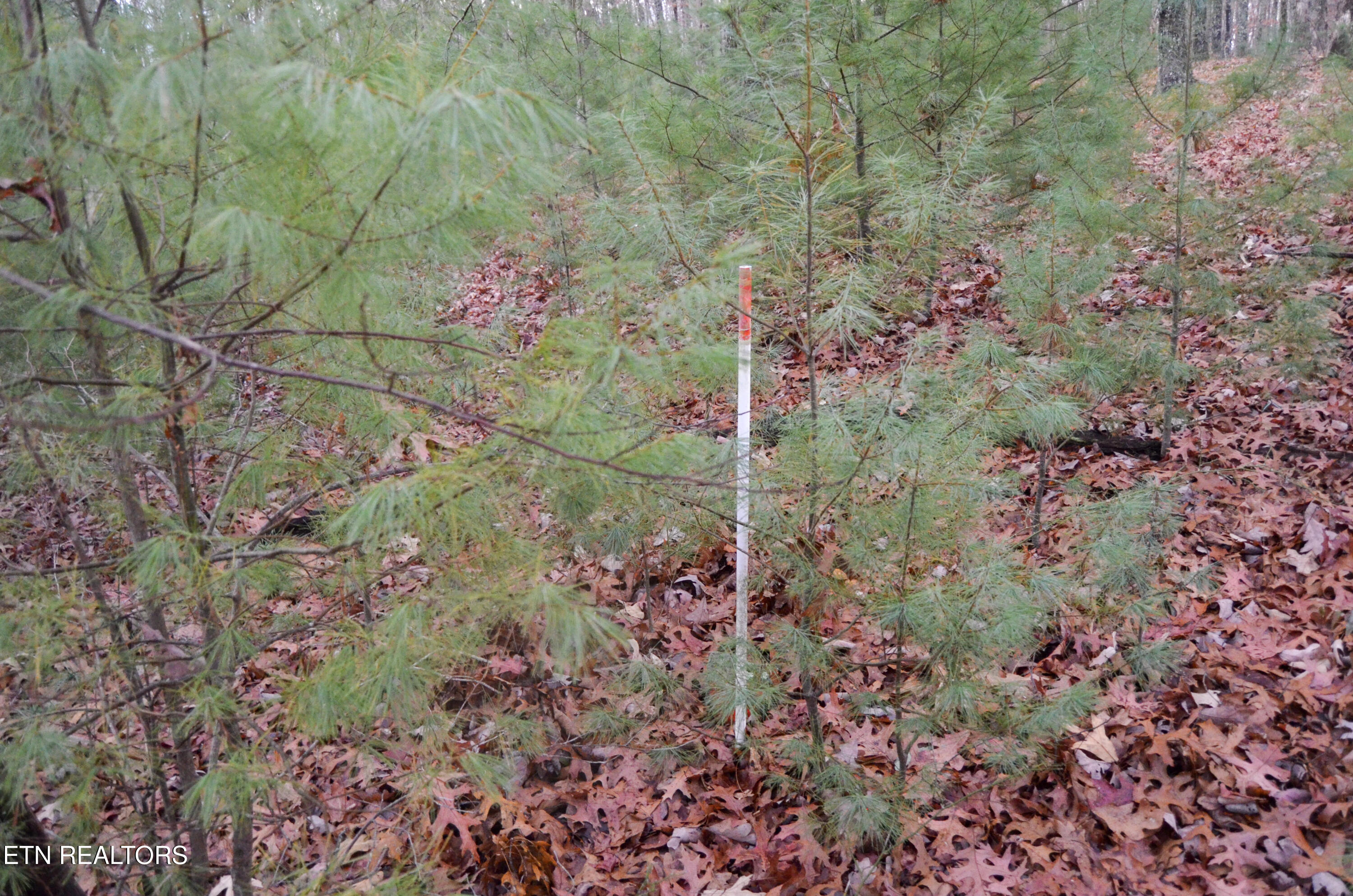 Sparta Highway 31.65 +/- Acres Crossville TN 38555