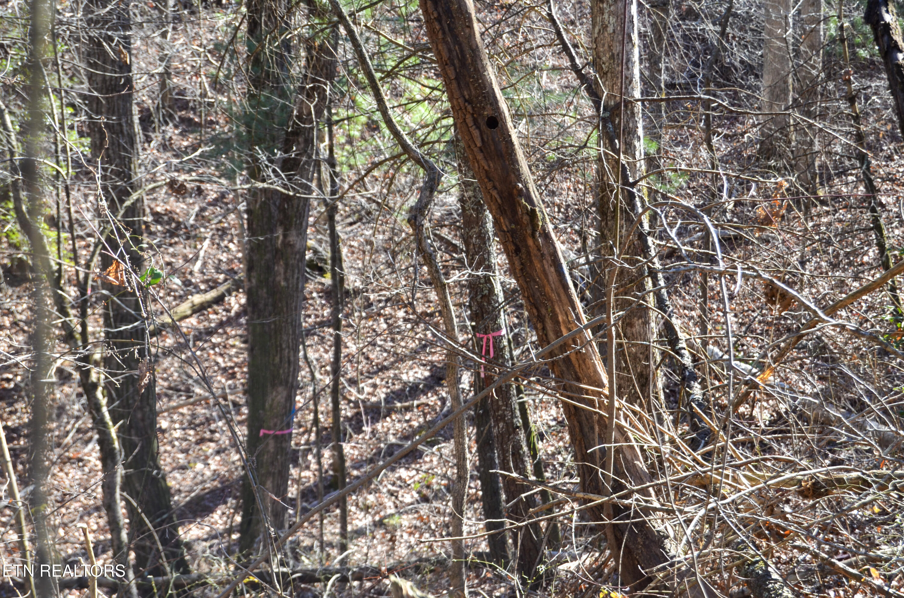 Sparta Highway 31.65 +/- Acres Crossville TN 38555