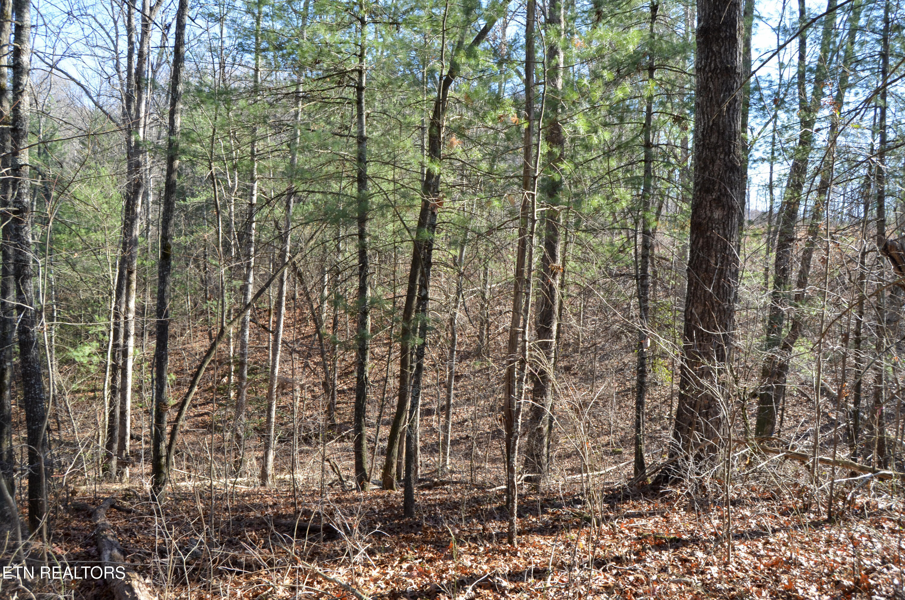 Sparta Highway 31.65 +/- Acres Crossville TN 38555