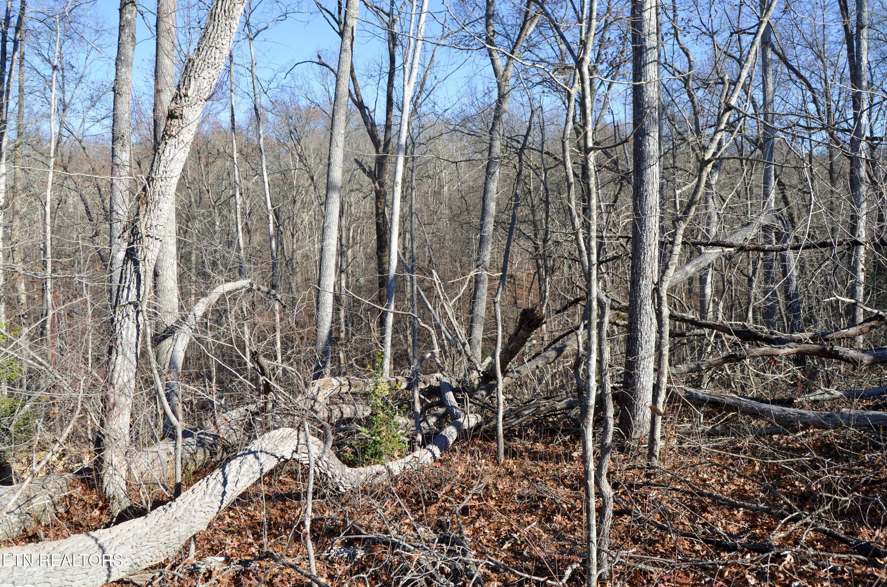 Sparta Highway 31.65 +/- Acres Crossville TN 38555