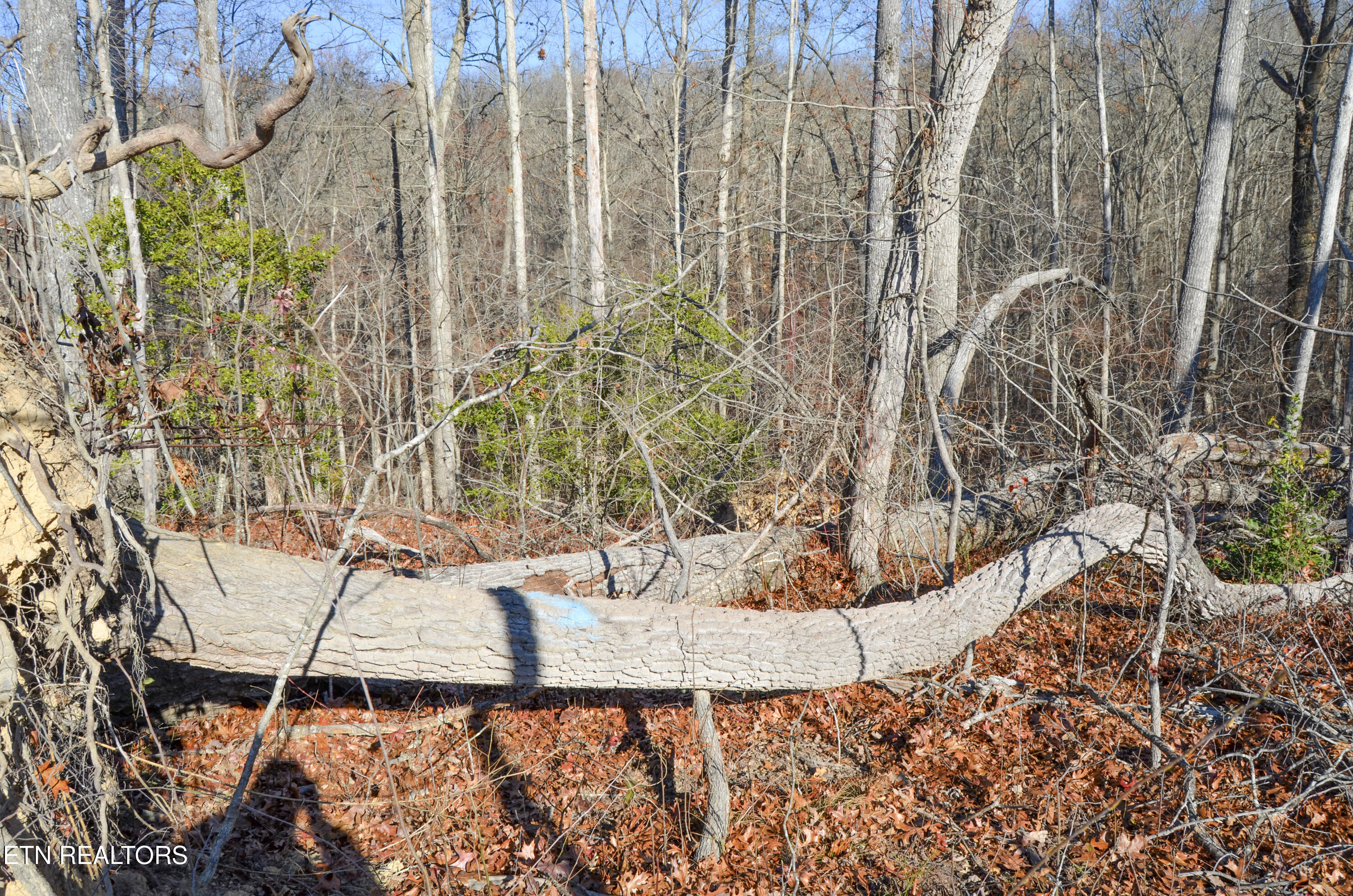 Sparta Highway 31.65 +/- Acres Crossville TN 38555